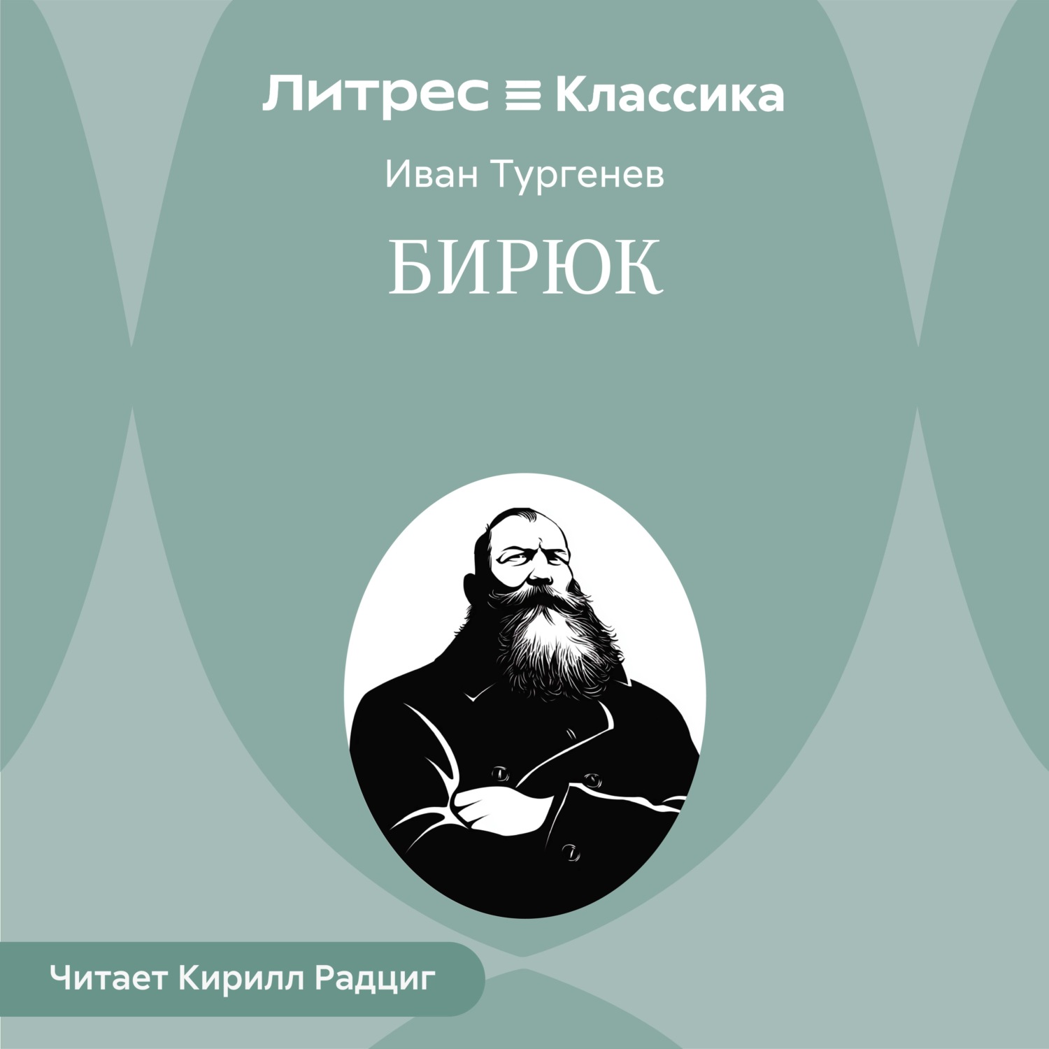 Обложка книги «Бирюк»