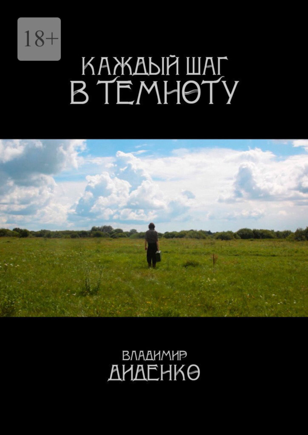Обложка книги «Каждый шаг в темноту»
