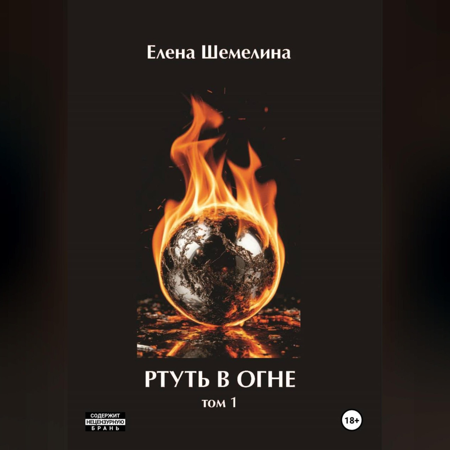 Обложка книги «Ртуть в огне»