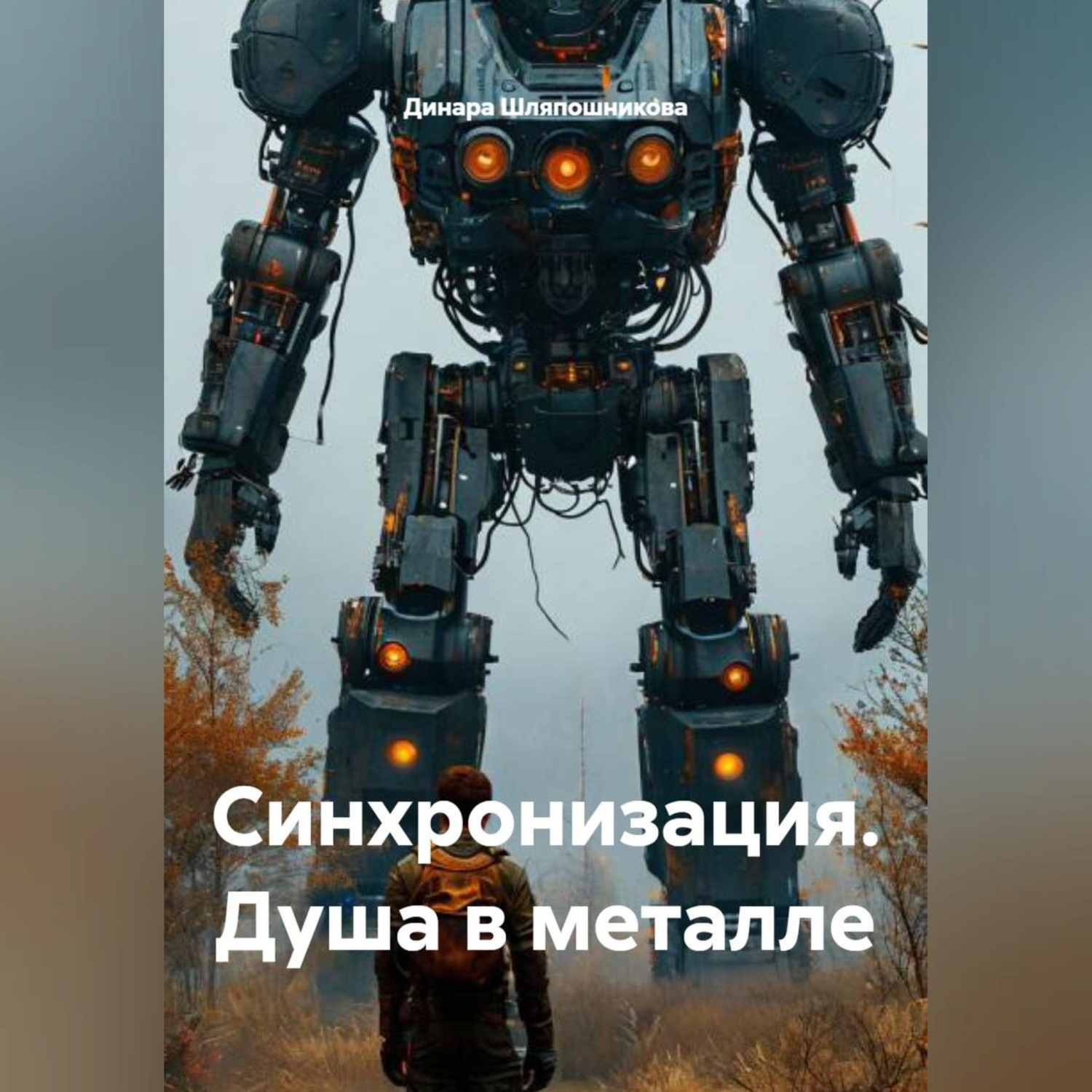 Обложка книги «Синхронизация: Душа в металле»