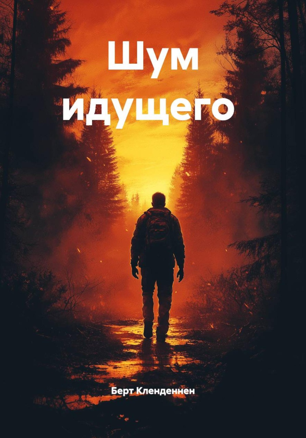 Обложка книги «Шум идущего»