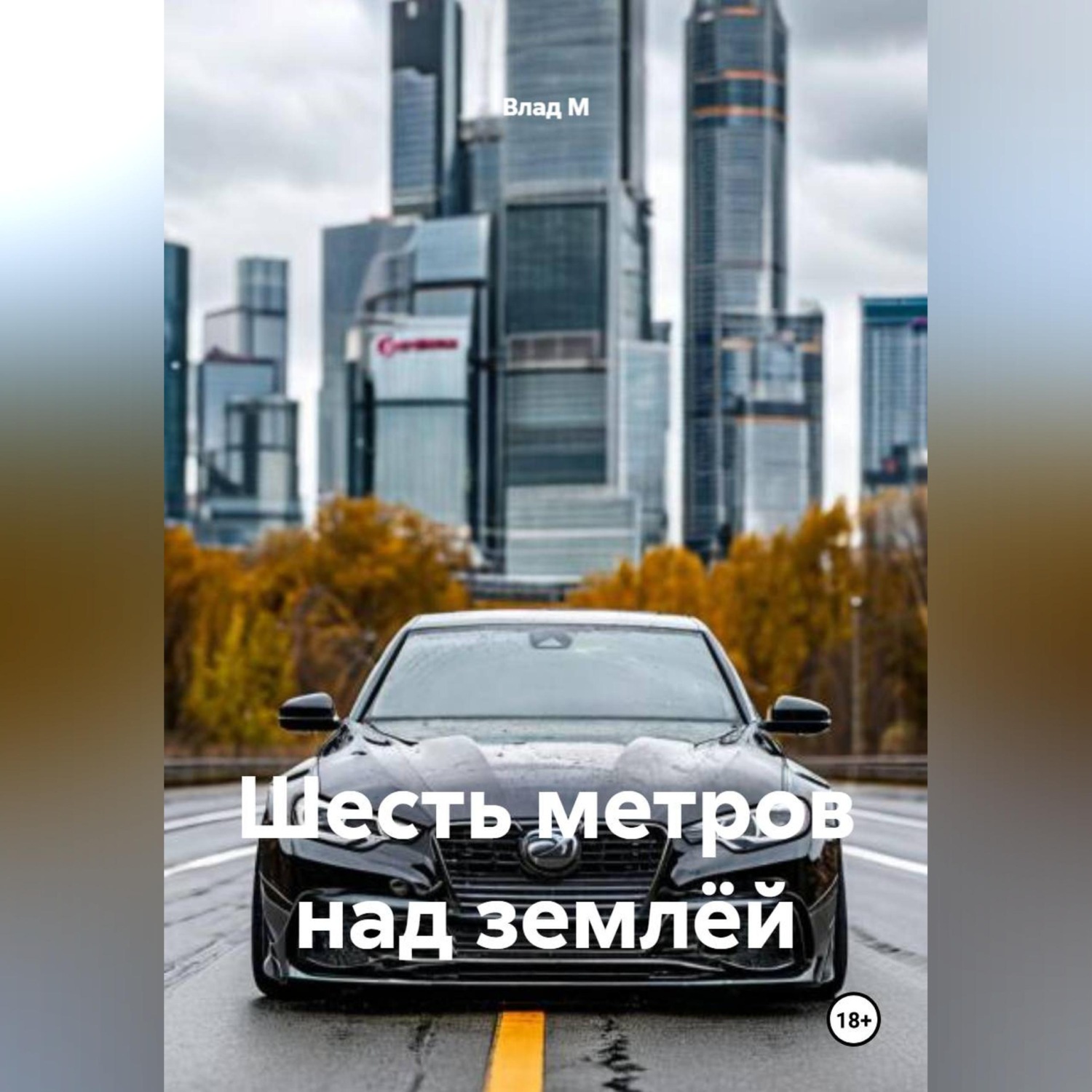 Обложка книги «Шесть метров над землёй»