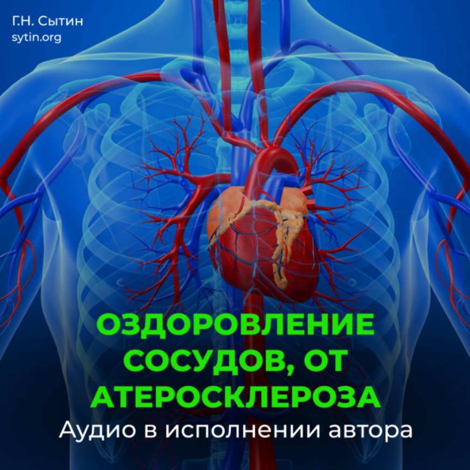 Обложка книги «Оздоровление сосудов, от атеросклероза»