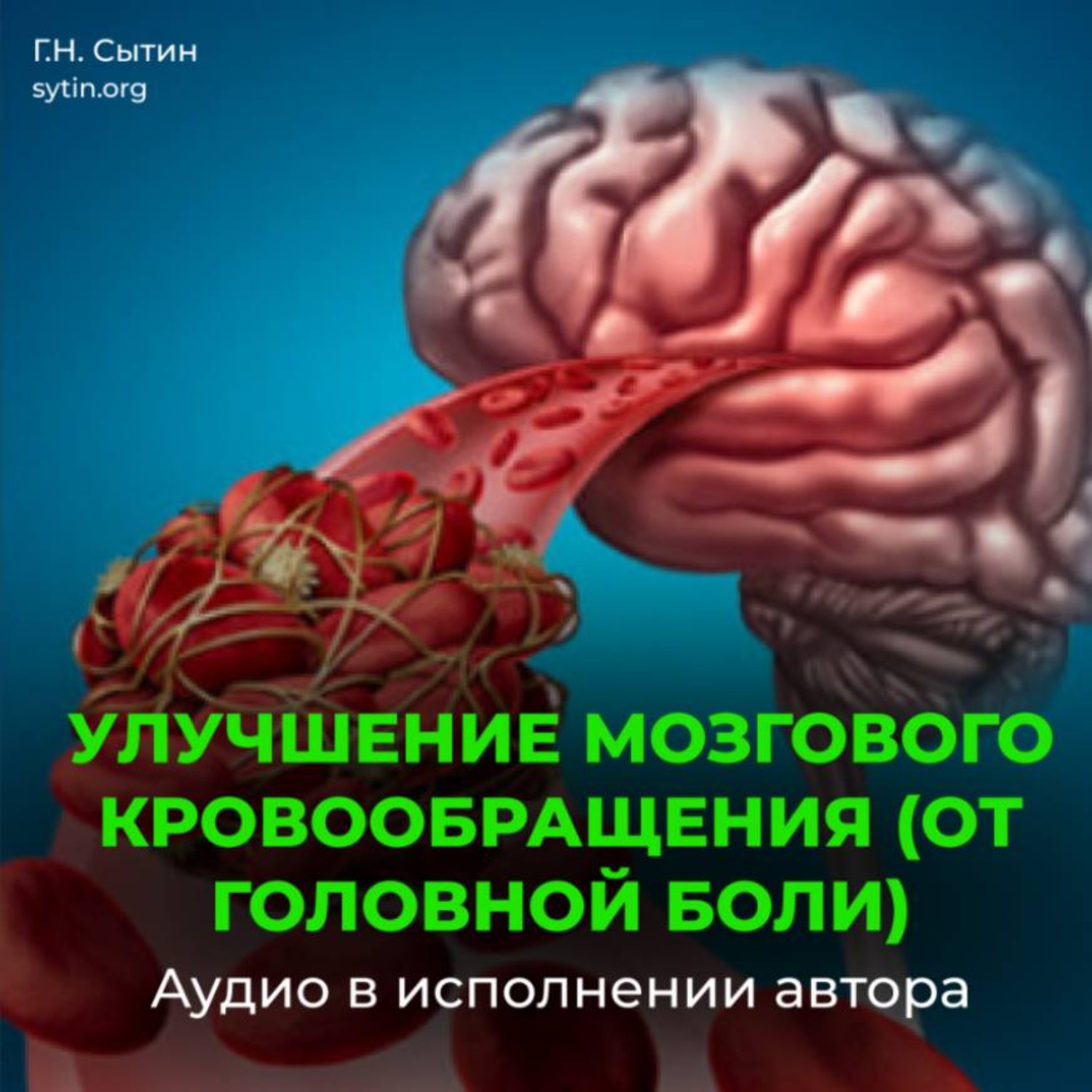Обложка книги «На стабильность артериального давления 120 на 80. Улучшение мозгового кровообращения (от головной боли). На стойкость пульса»