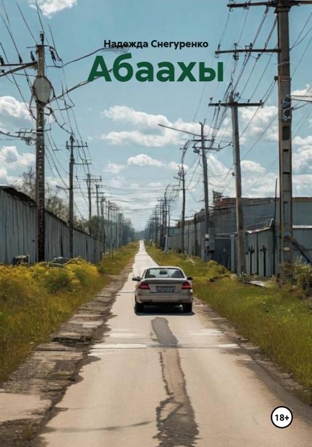 Обложка книги «Абаахы»