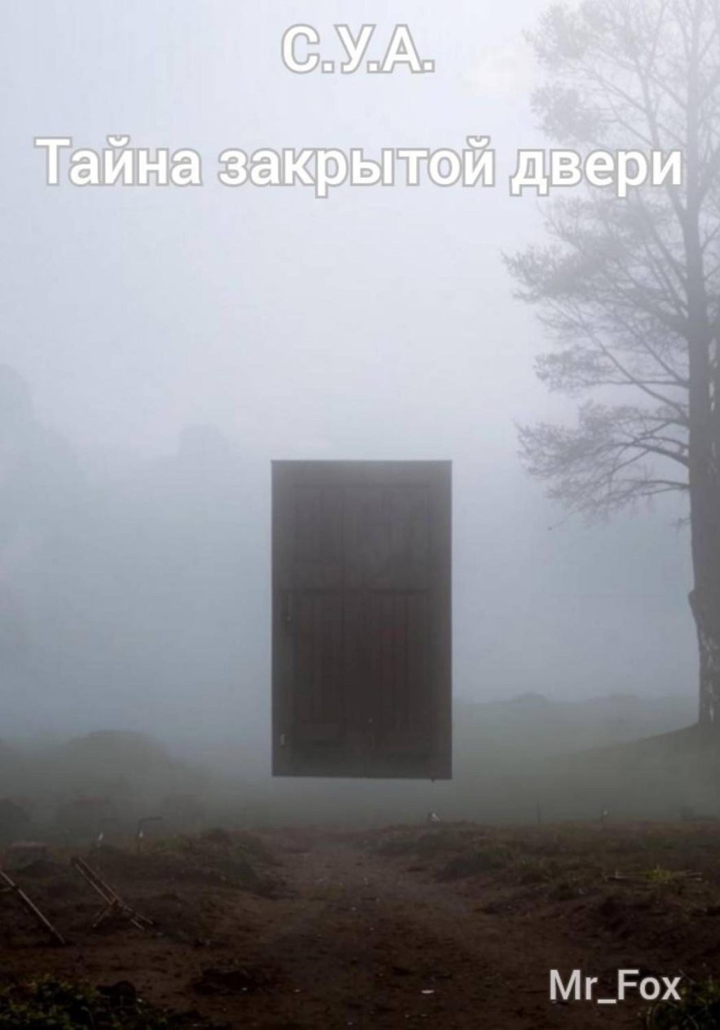 Обложка книги «С.У.А. Тайна закрытой двери»