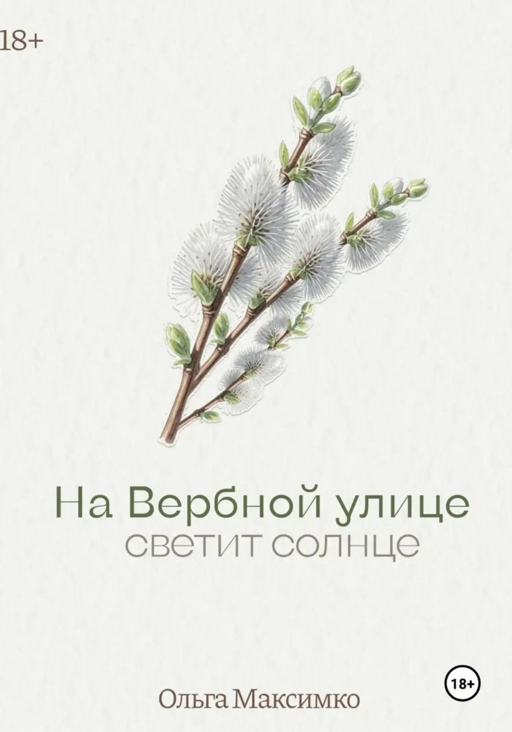 Обложка книги «На Вербной улице светит солнце»