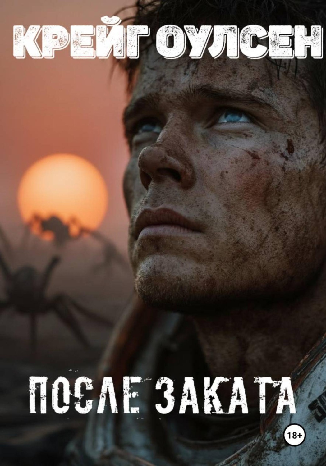 Обложка книги «После заката»
