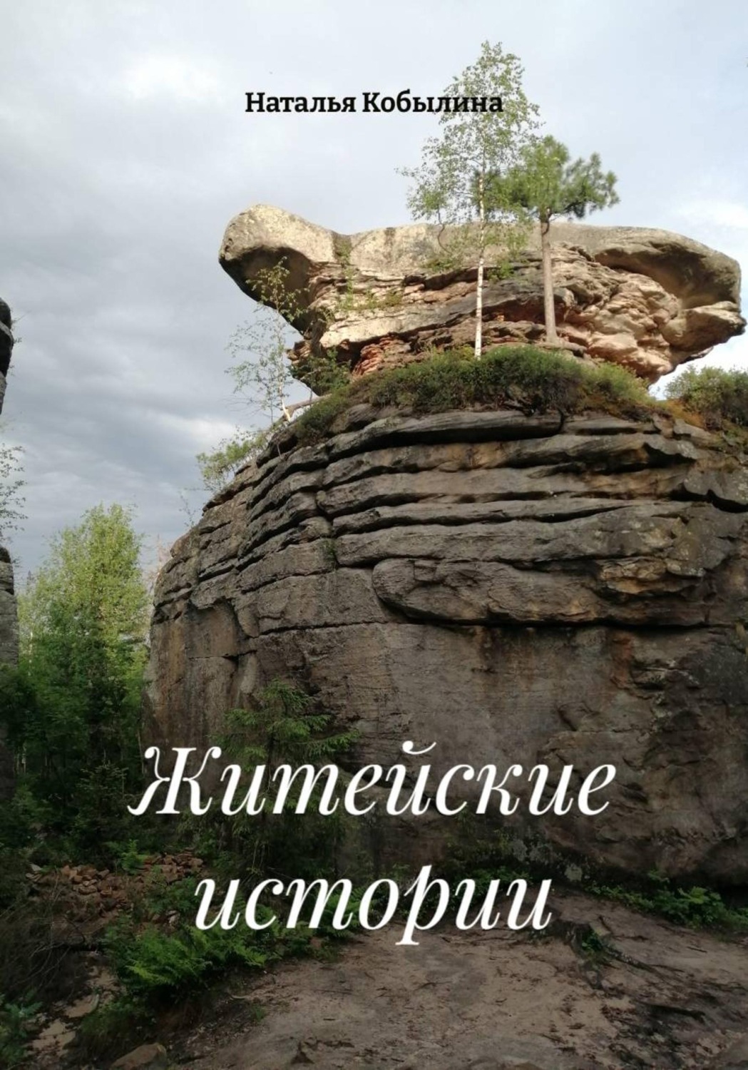 Обложка книги «Житейские истории»