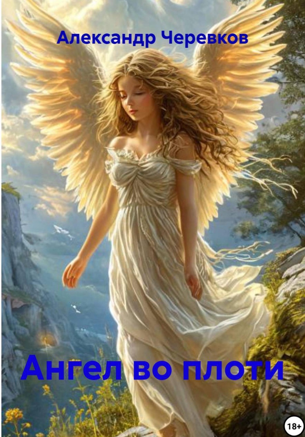 Обложка книги «Ангел во плоти»