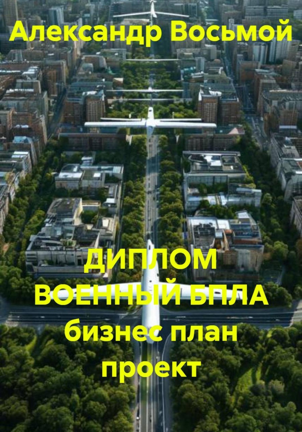 Обложка книги «ДИПЛОМ ВОЕННЫЙ БПЛА бизнес план проект»