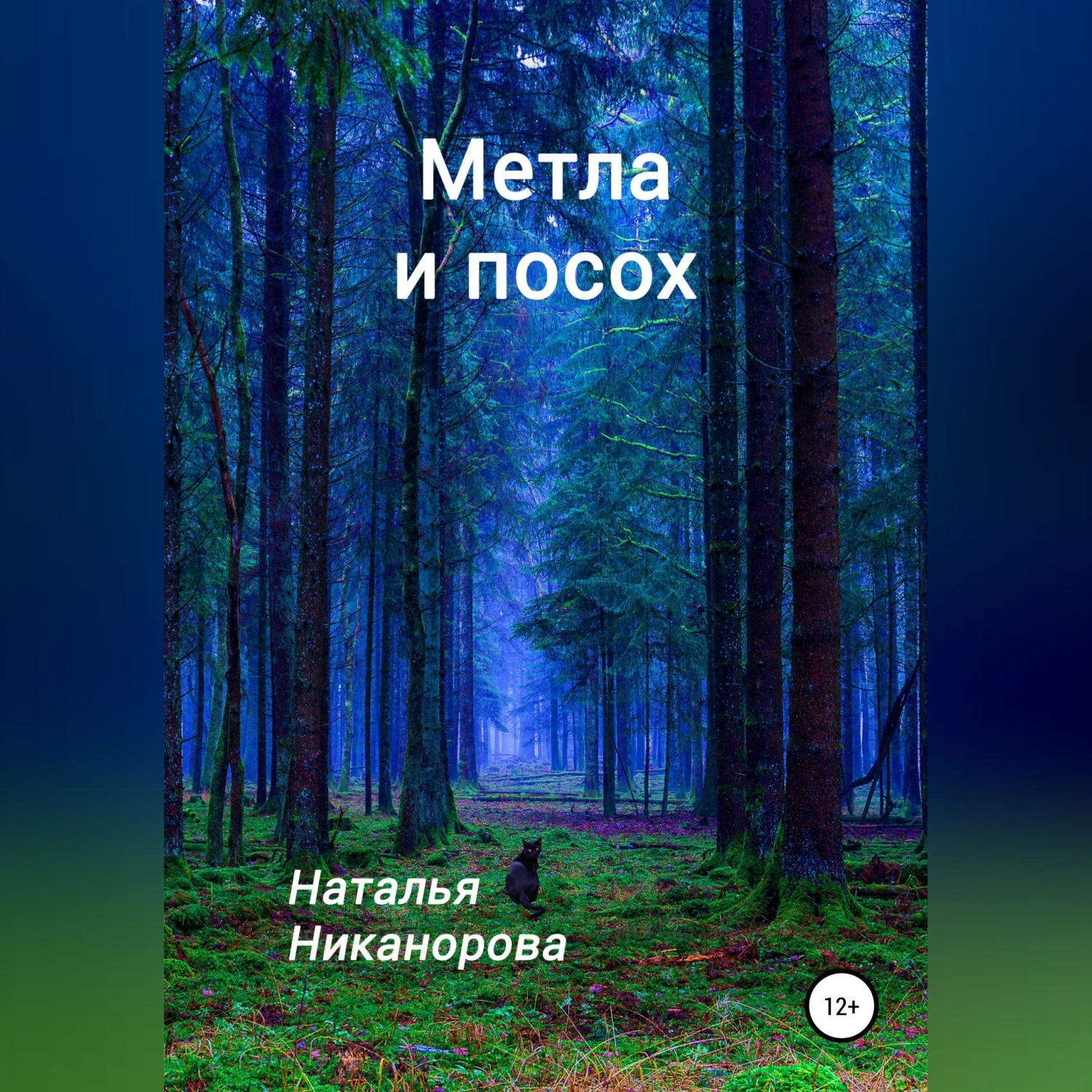 Обложка книги «Метла и посох»