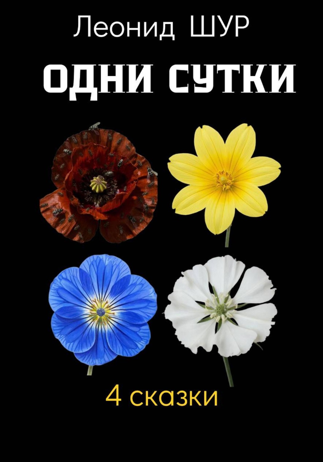 Обложка книги «Одни сутки»