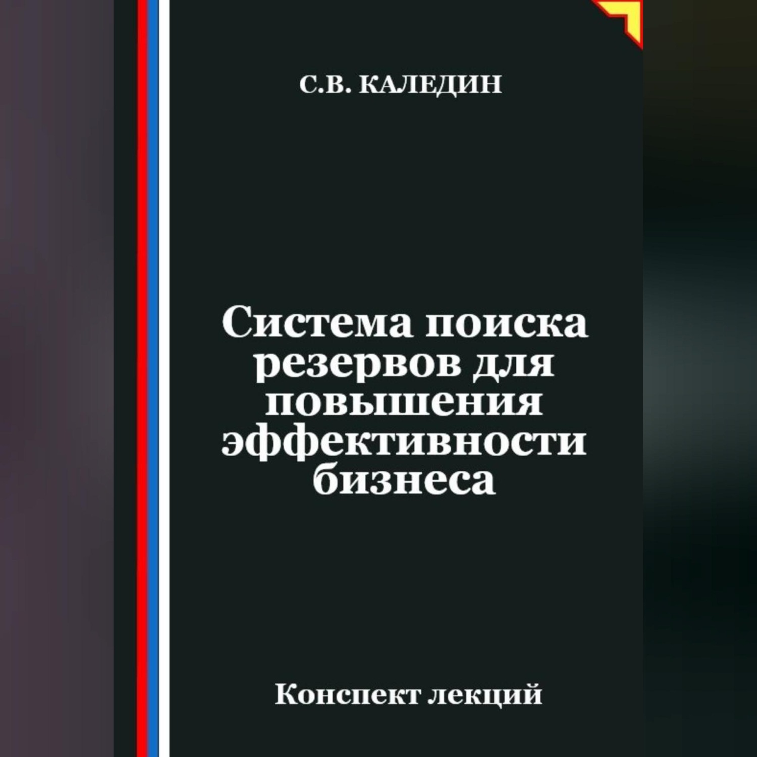 Обложка книги «Система поиска резервов для повышения эффективности бизнеса»