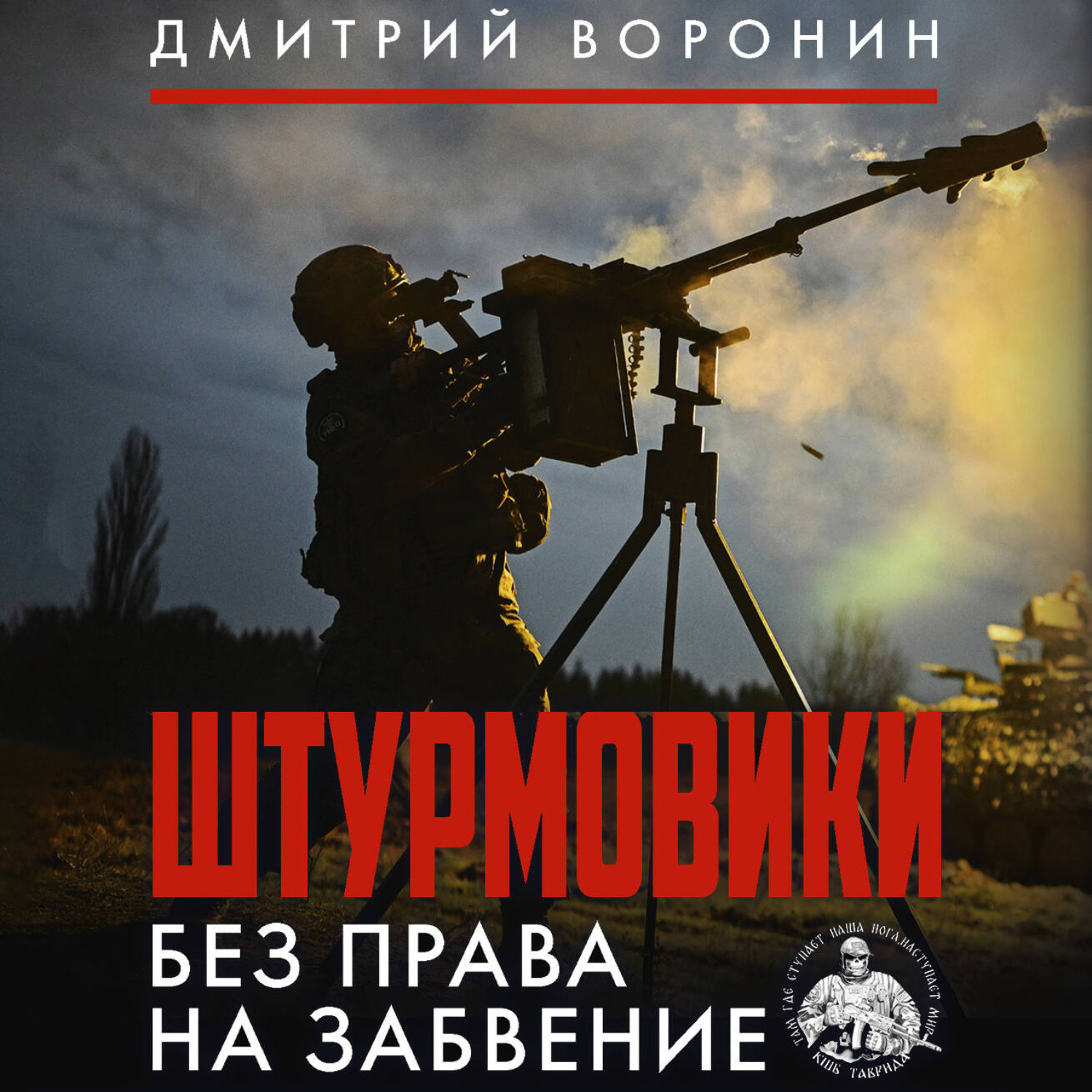 Обложка книги «Штурмовики. Без права на забвение»