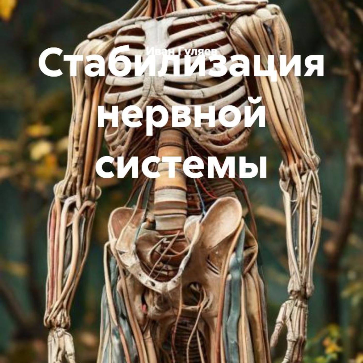 Обложка книги «Стабилизация нервной системы»