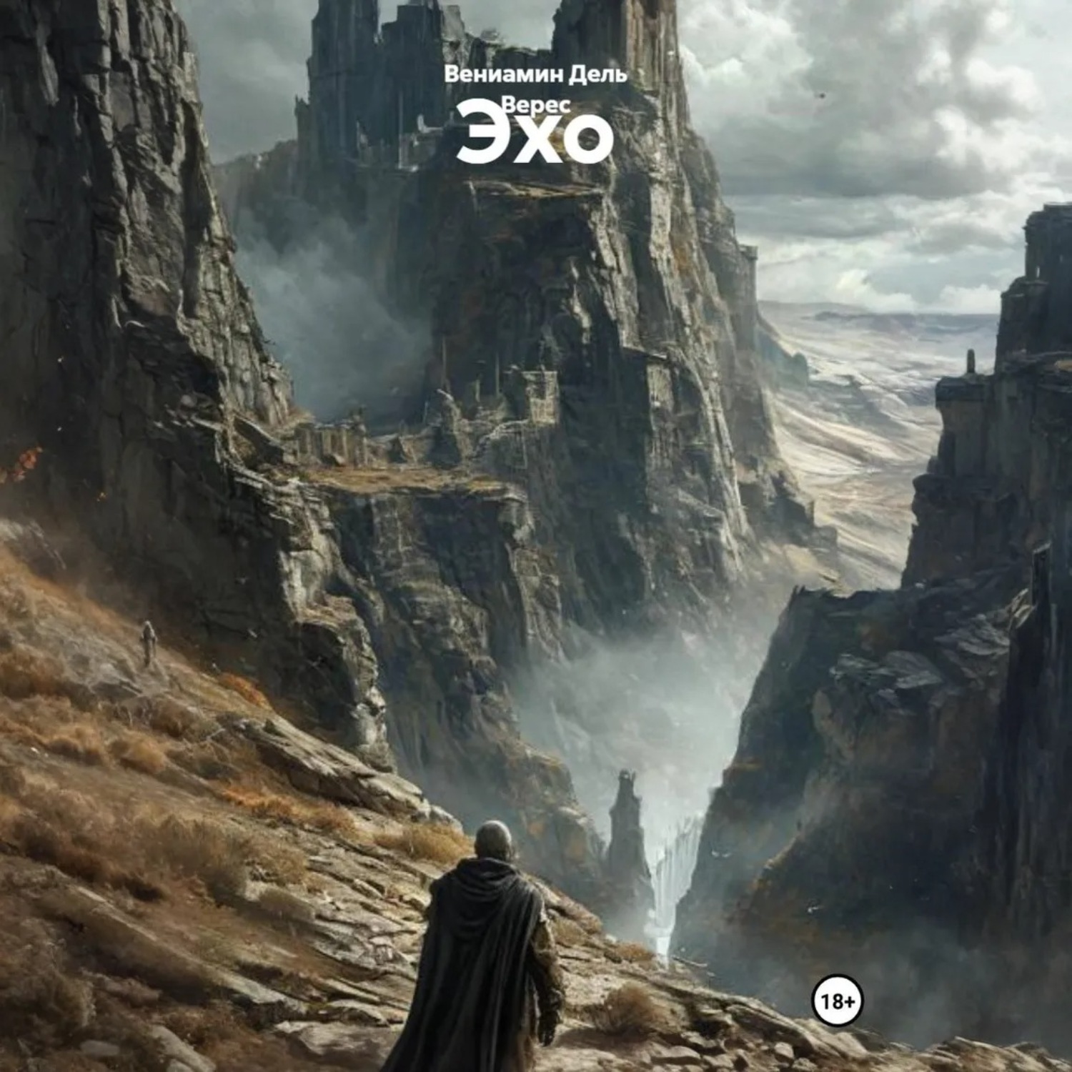 Обложка книги «Эхо»