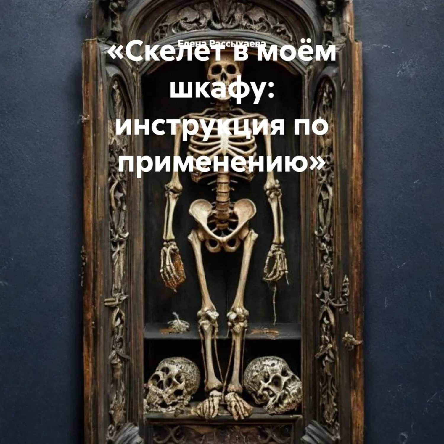 Обложка книги ««Скелет в моём шкафу: инструкция по применению»»