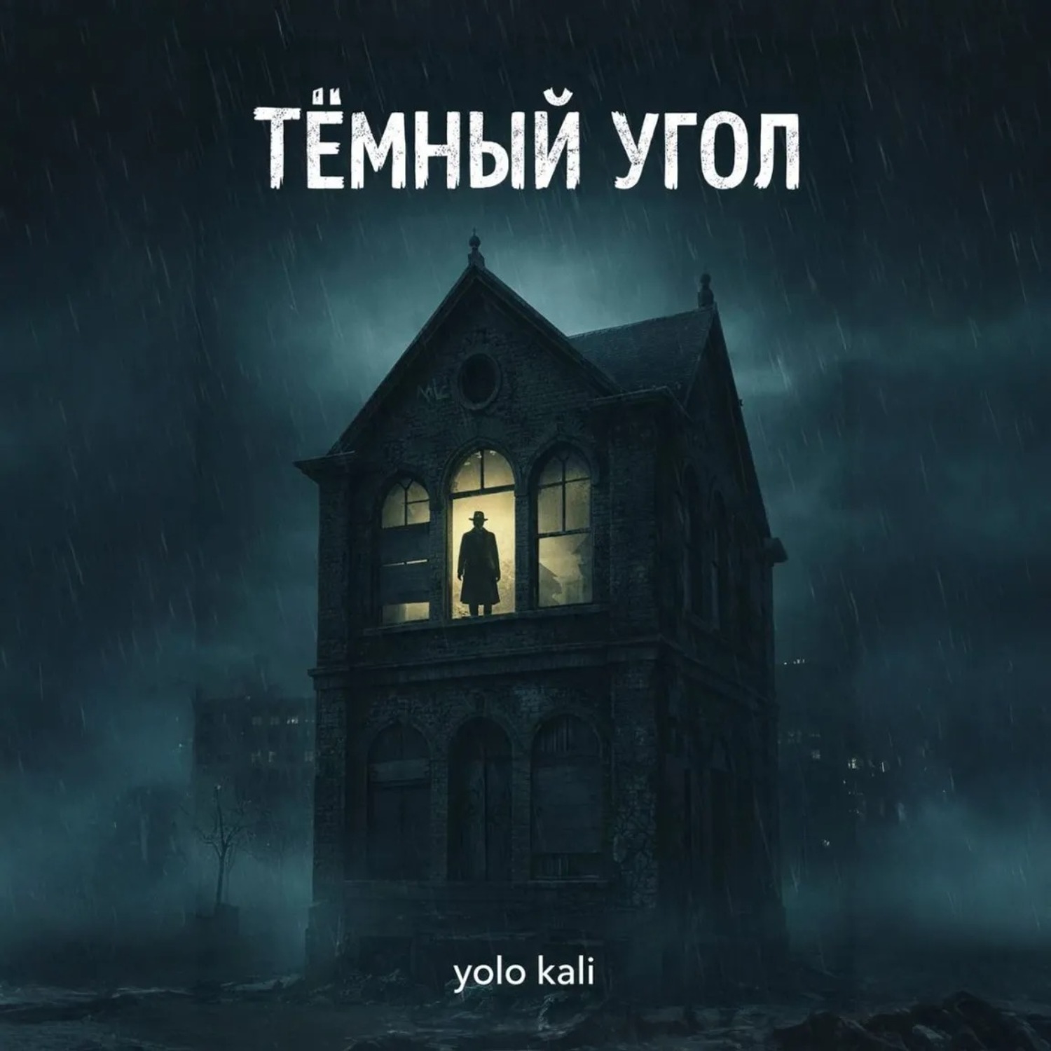Обложка книги «Темный угол»