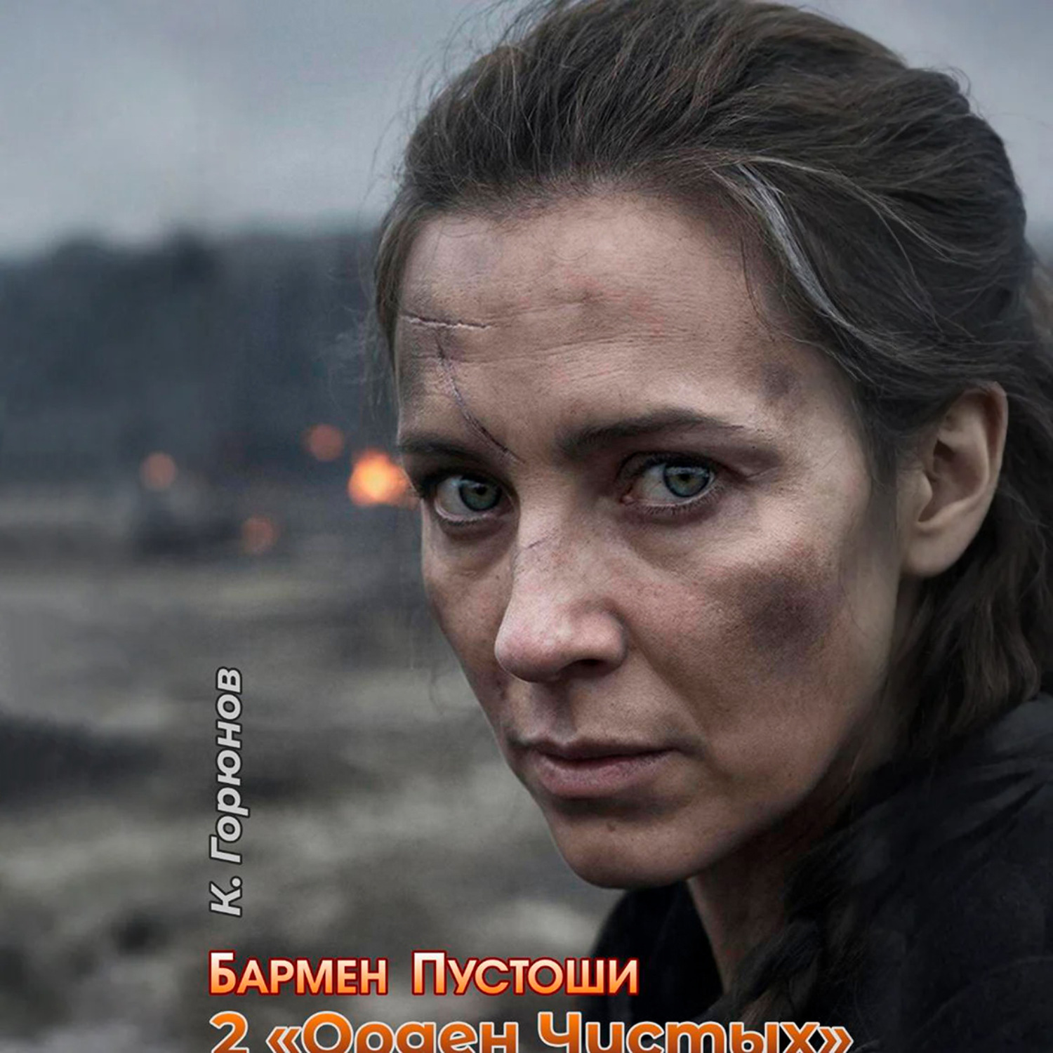 Обложка книги «Бармен Пустоши. Книга 2: Орден Чистых»
