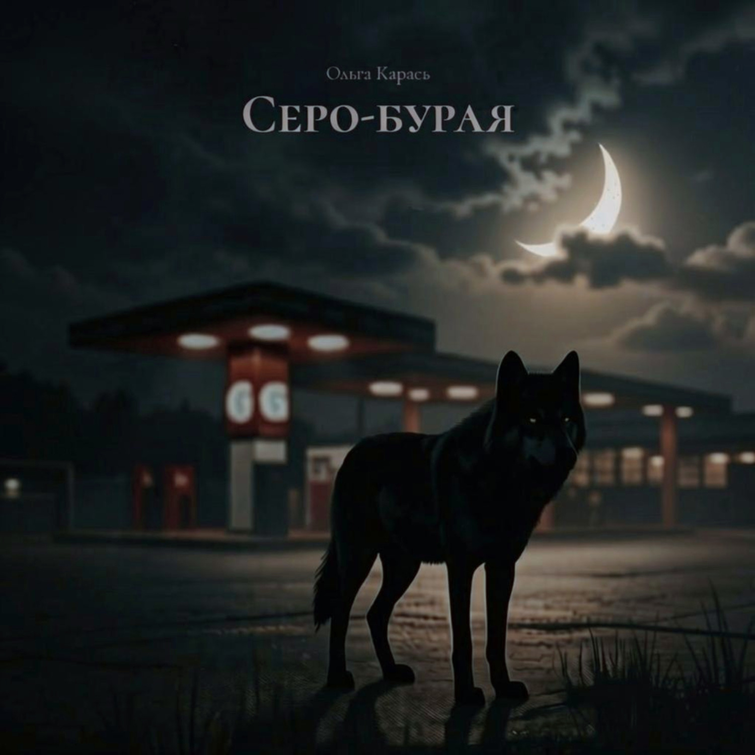 Обложка книги «Серо-бурая»