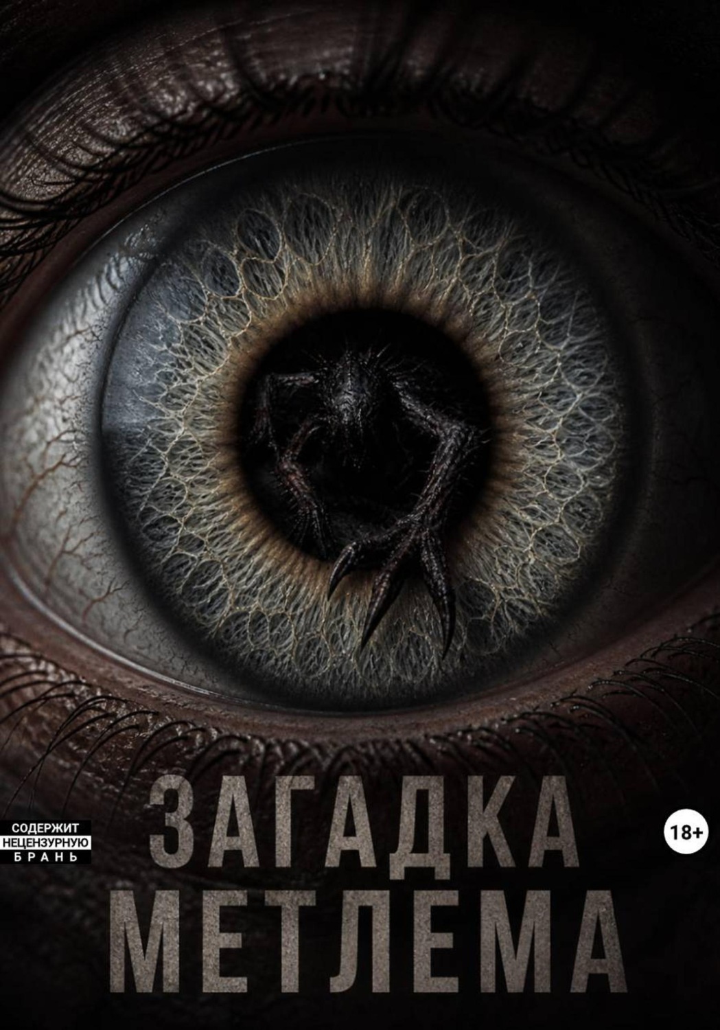 Обложка книги «Загадка Метлема»