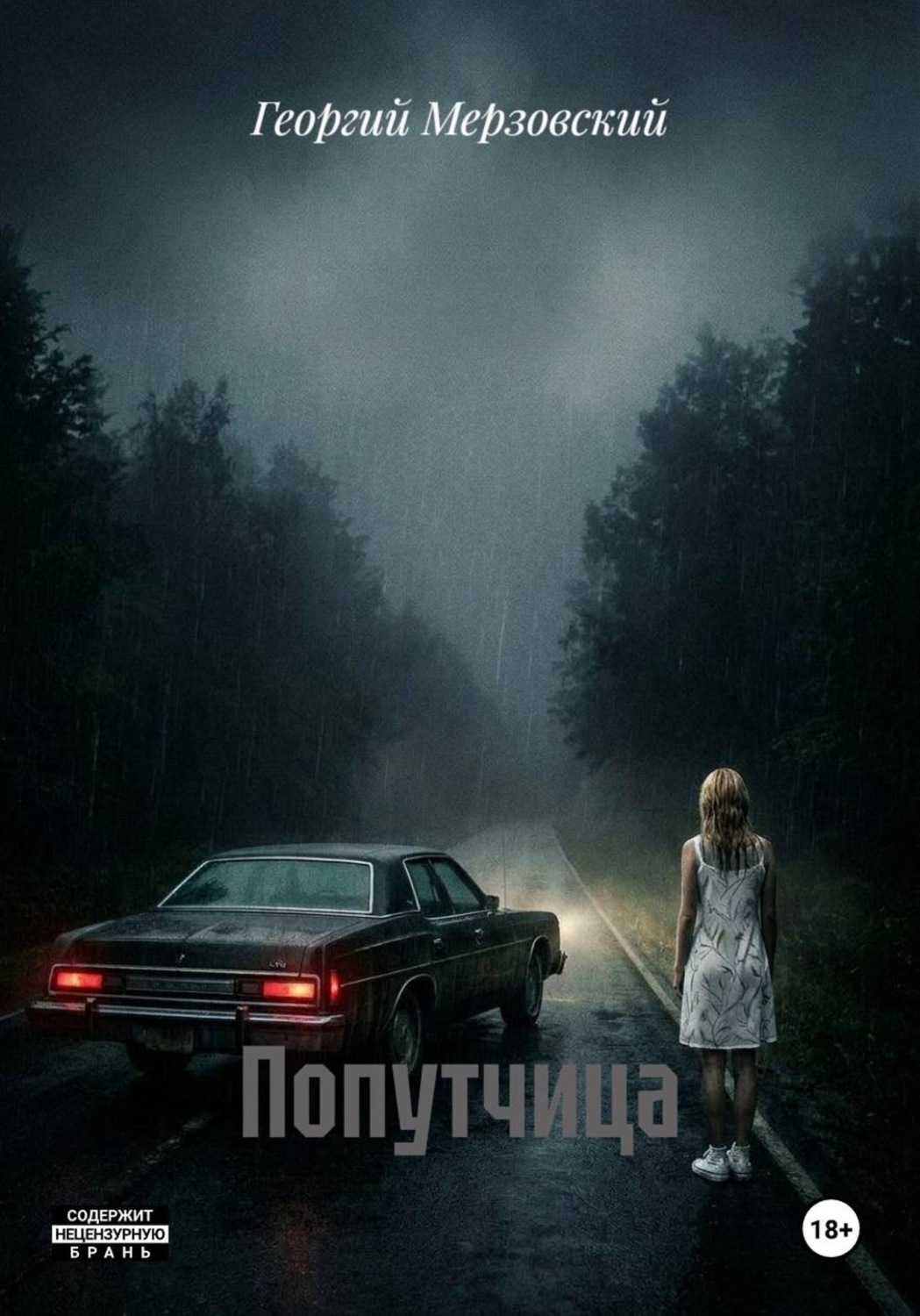 Обложка книги «Попутчица»