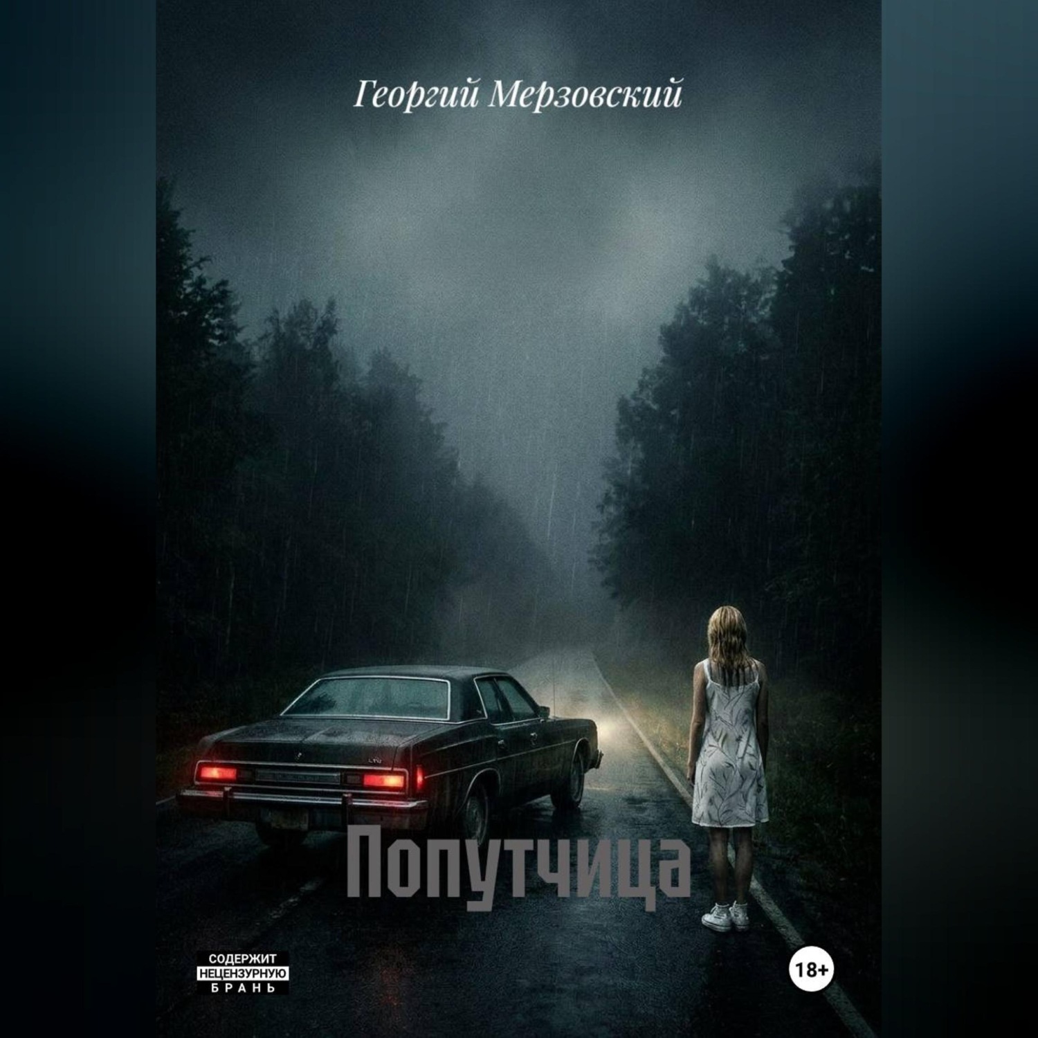 Обложка книги «Попутчица»