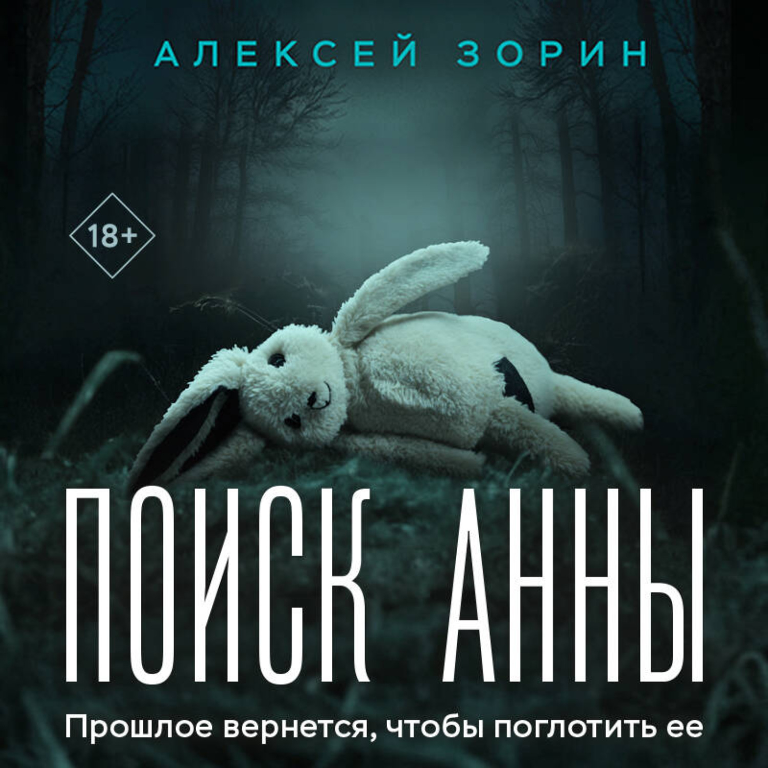 Обложка книги «Поиск Анны»