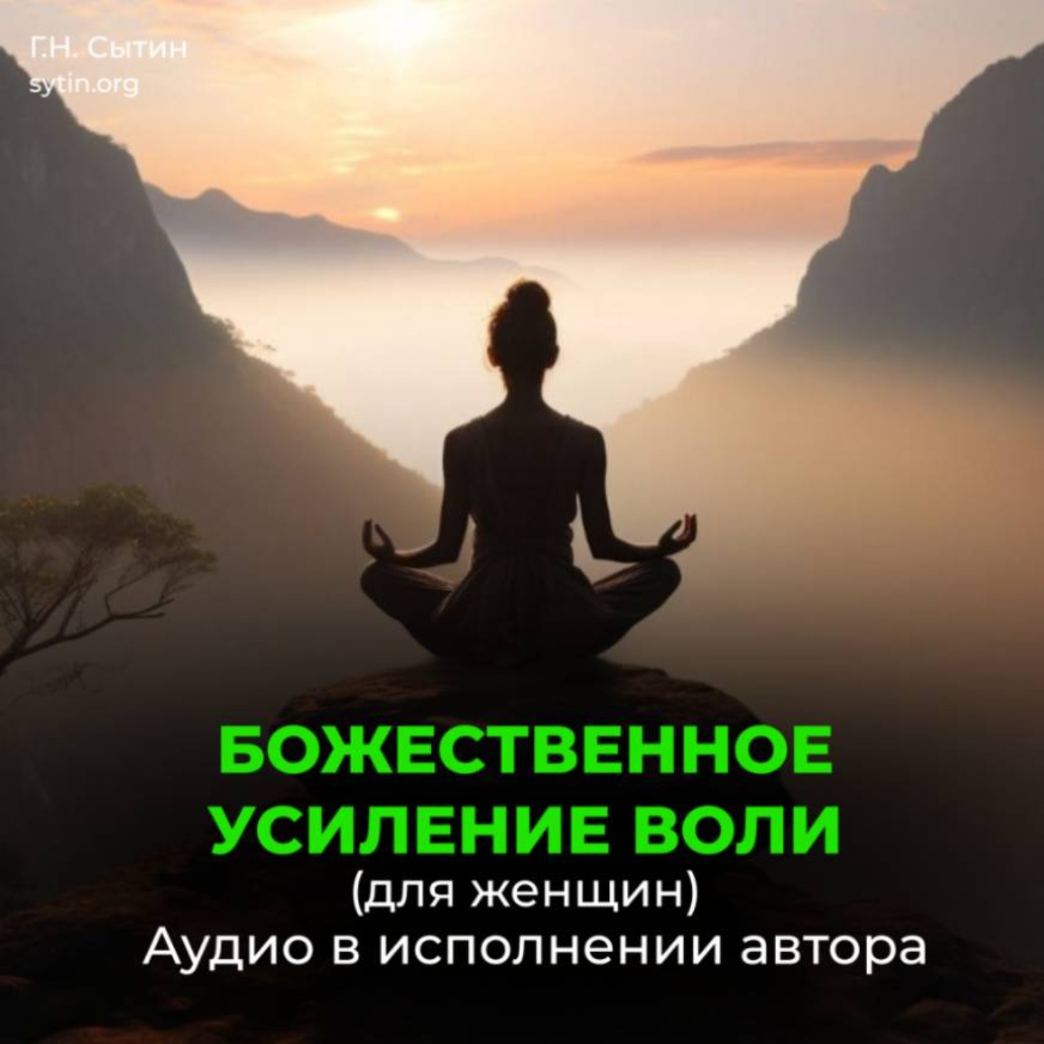 Обложка книги «Усиление воли женщины, волевого внимания, мозгового центра воли»