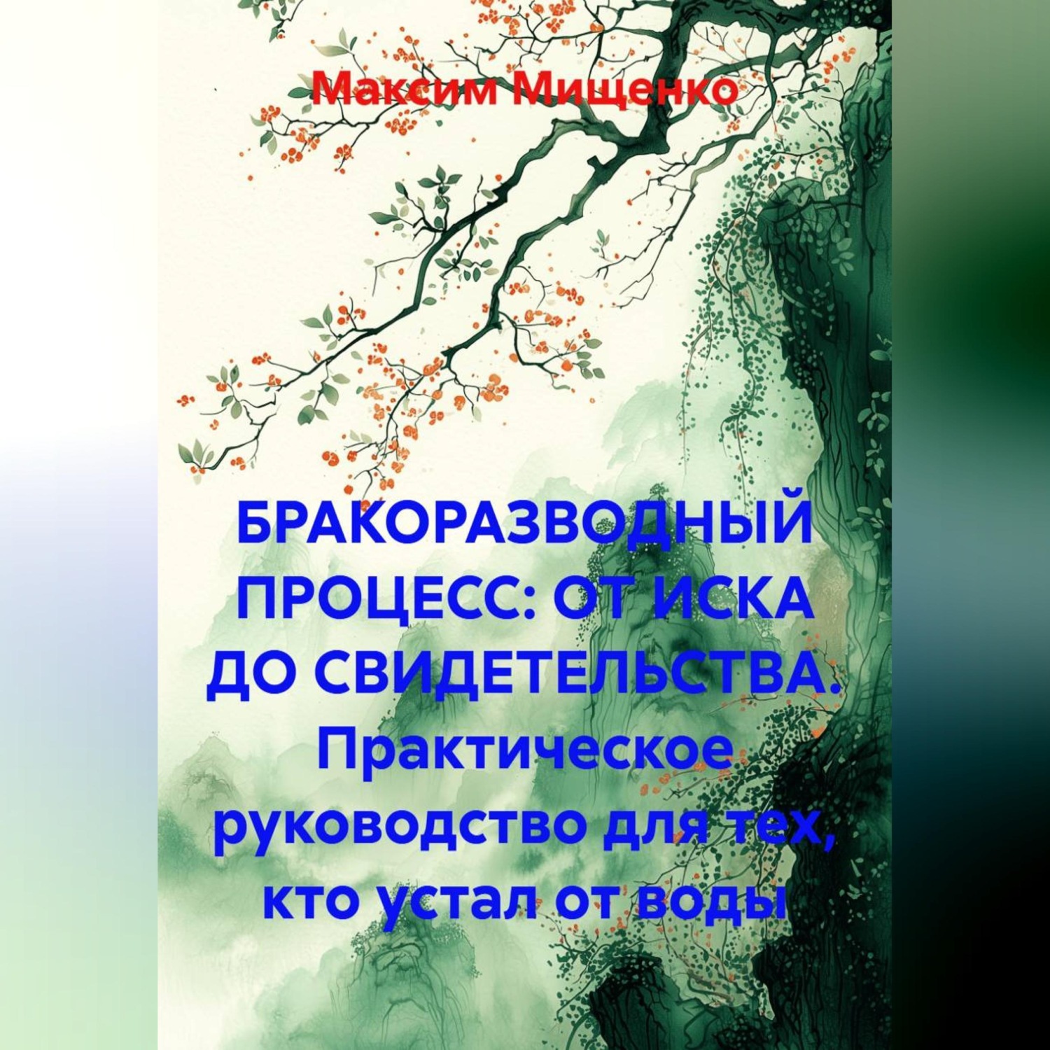 Обложка книги «БРАКОРАЗВОДНЫЙ ПРОЦЕСС: ОТ ИСКА ДО СВИДЕТЕЛЬСТВА Практическое руководство для тех, кто устал от воды»