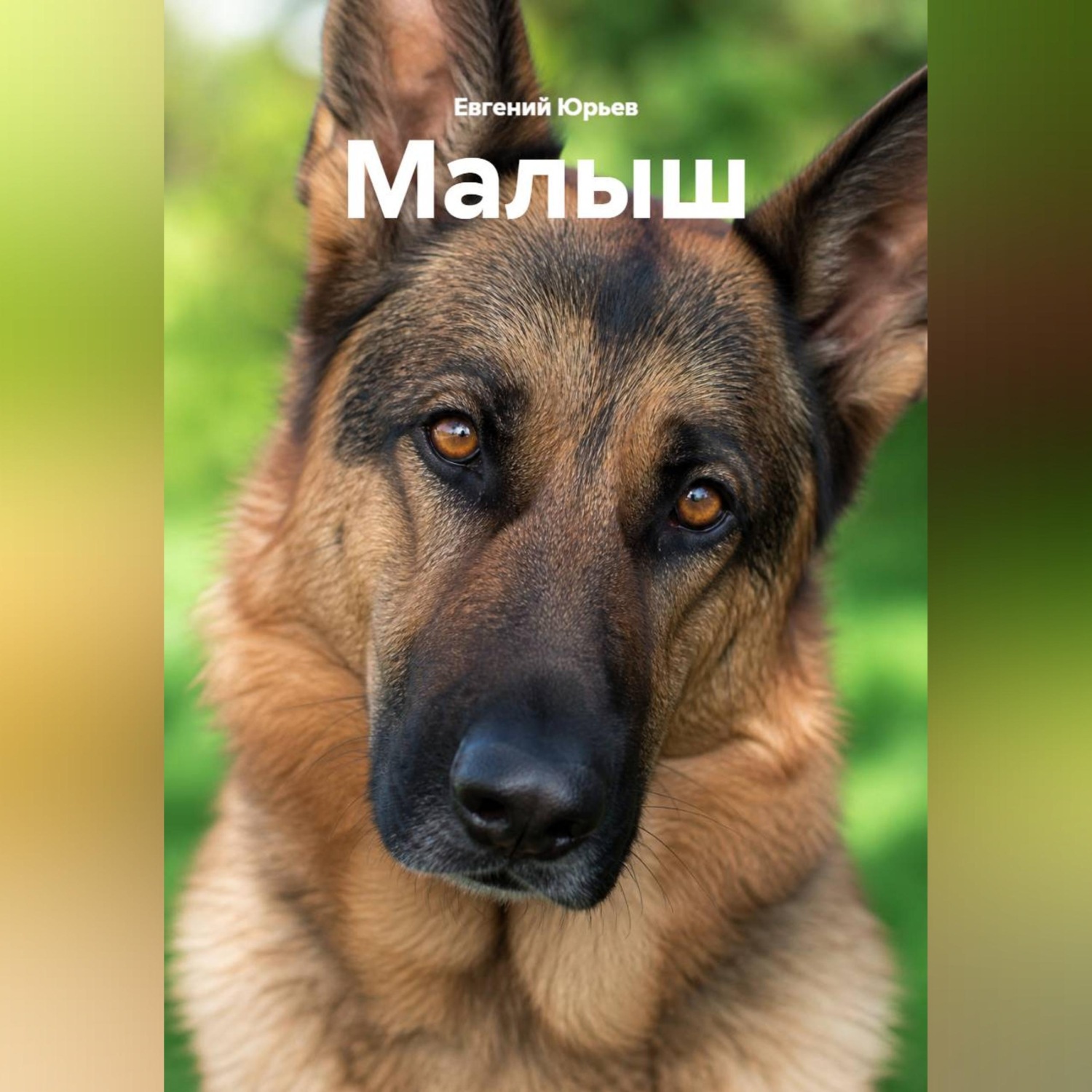 Обложка книги «Малыш»