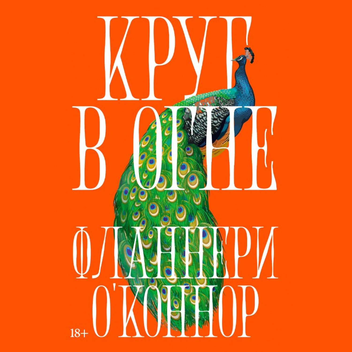 Обложка книги «Круг в огне: Рассказы»