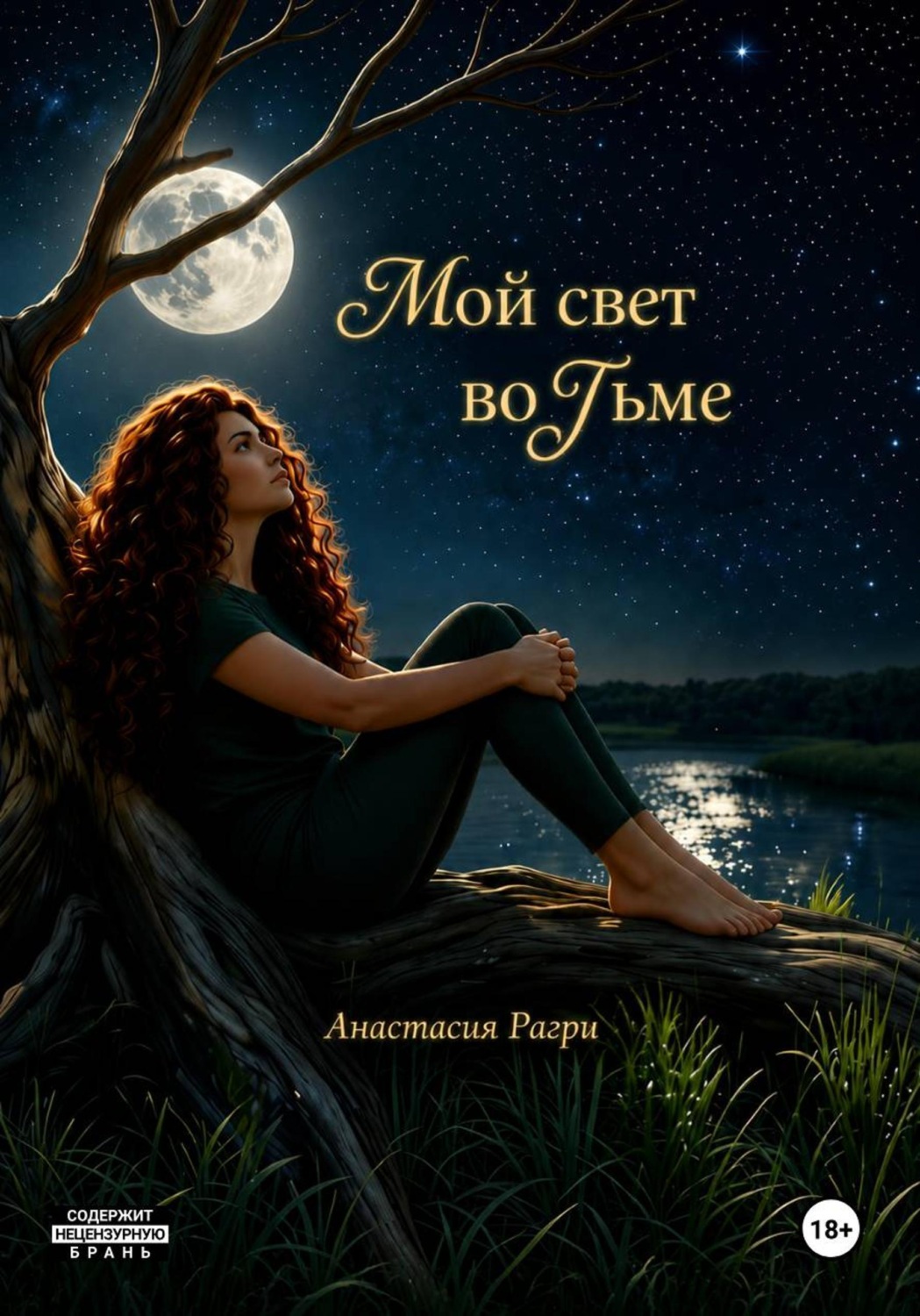 Обложка книги «Мой свет во тьме»