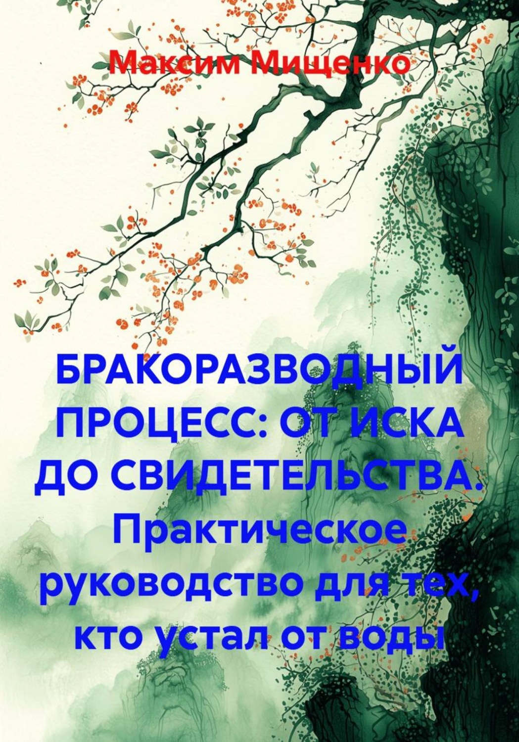 Обложка книги «БРАКОРАЗВОДНЫЙ ПРОЦЕСС: ОТ ИСКА ДО СВИДЕТЕЛЬСТВА. Практическое руководство для тех, кто устал от воды»