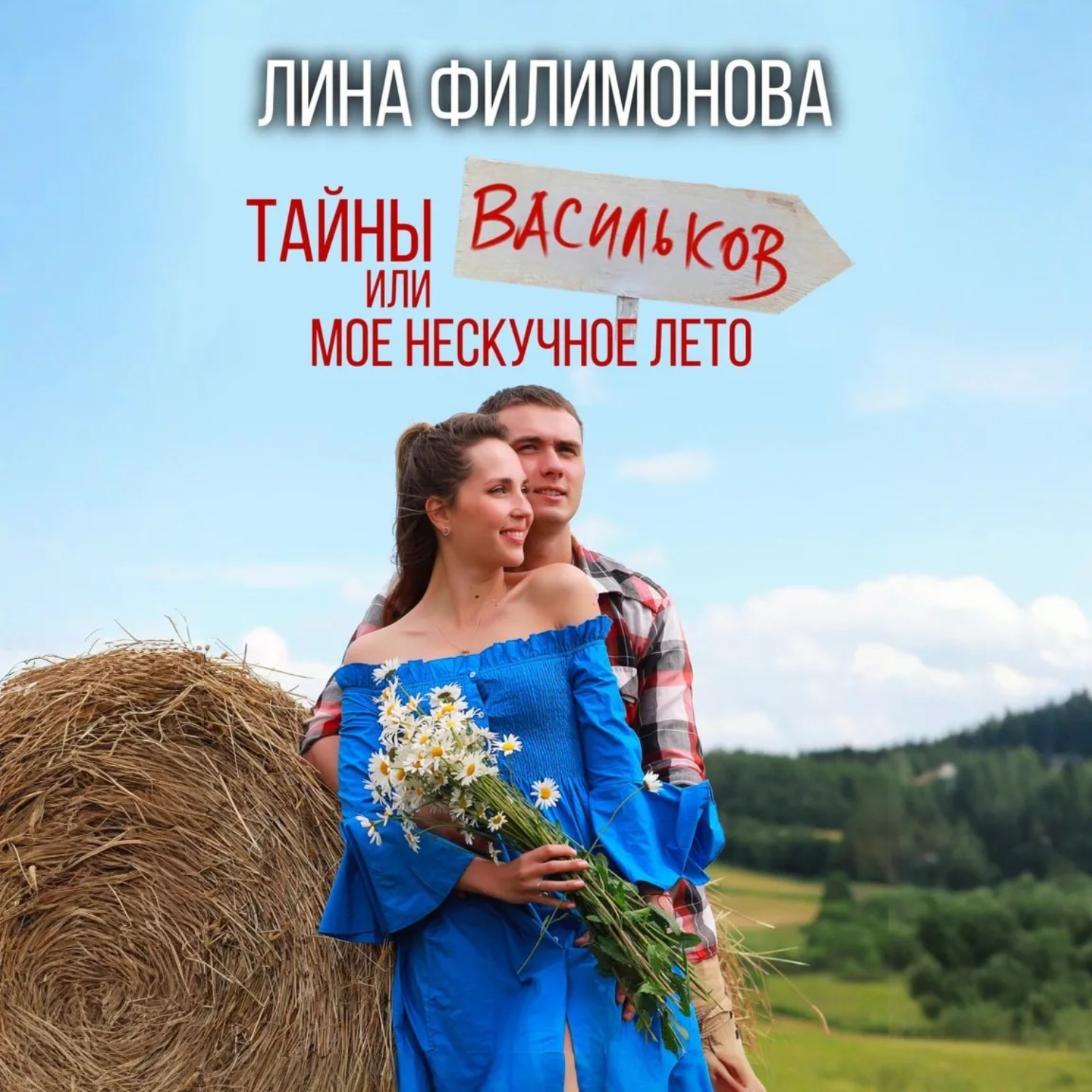 Обложка книги «Тайны Васильков или мое нескучное лето»