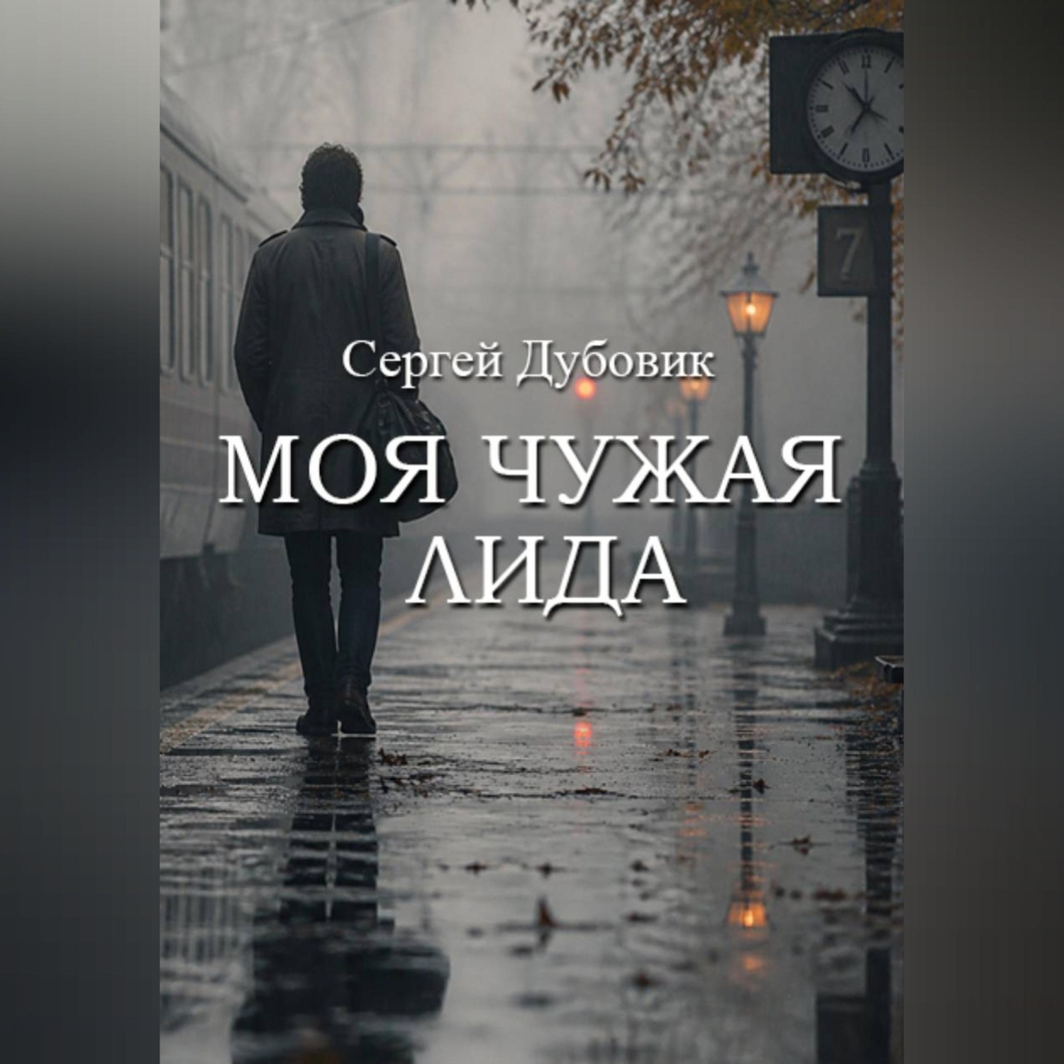 Обложка книги «Моя чужая Лида»