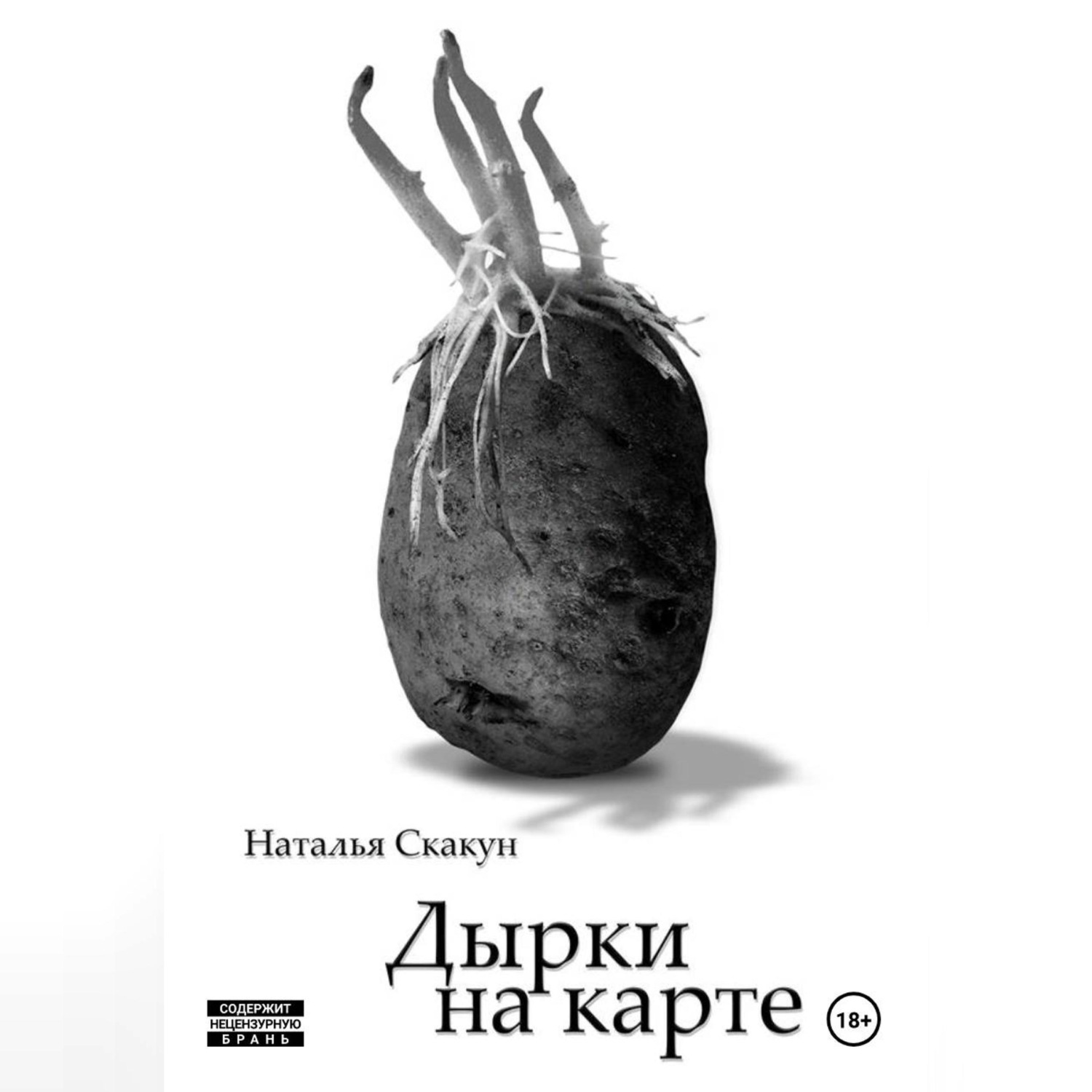 Обложка книги «Дырки на карте»