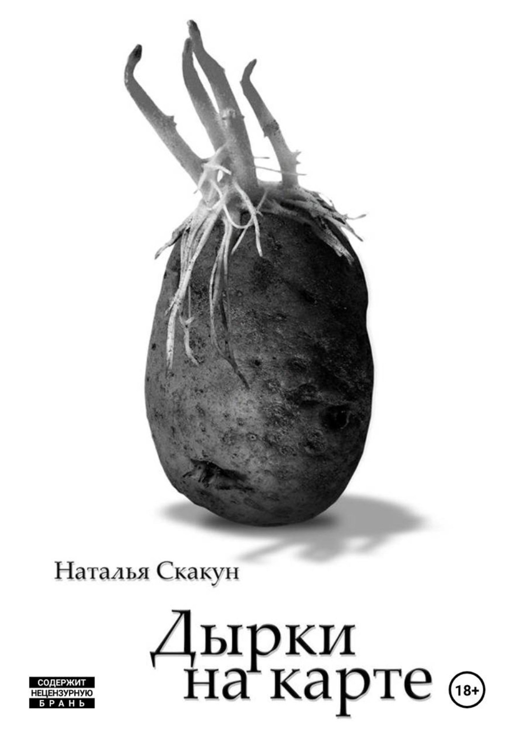 Обложка книги «Дырки на карте»