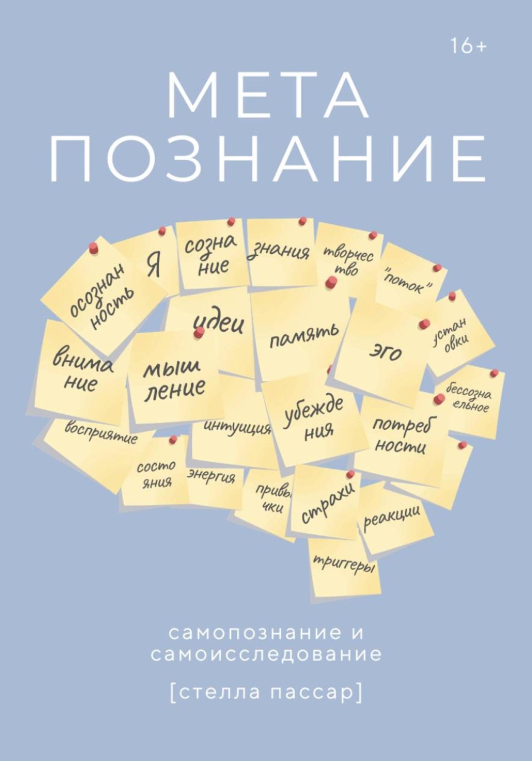 Обложка книги «Метапознание: самопознание и самоисследование»