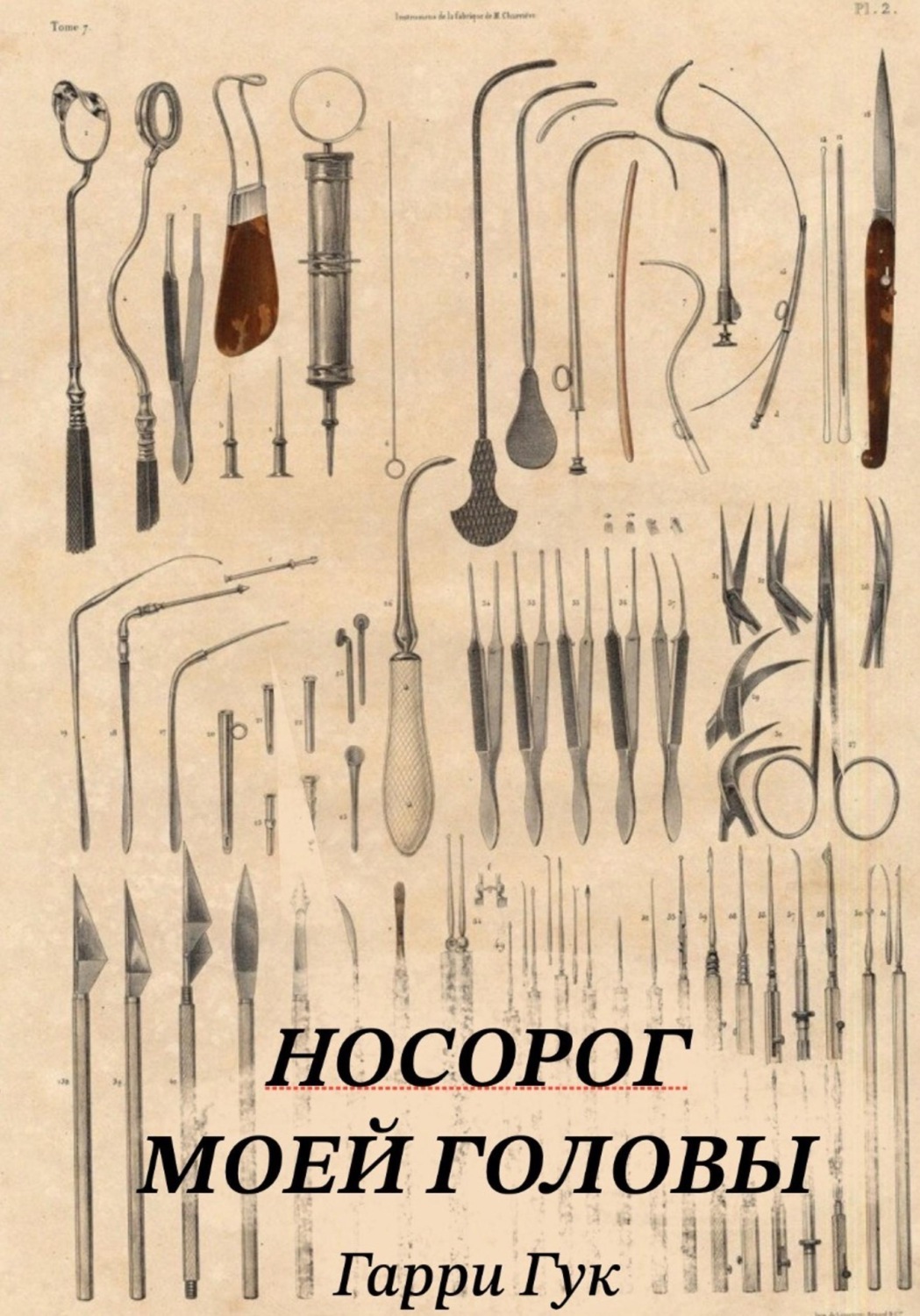 Обложка книги «Носорог моей головы»