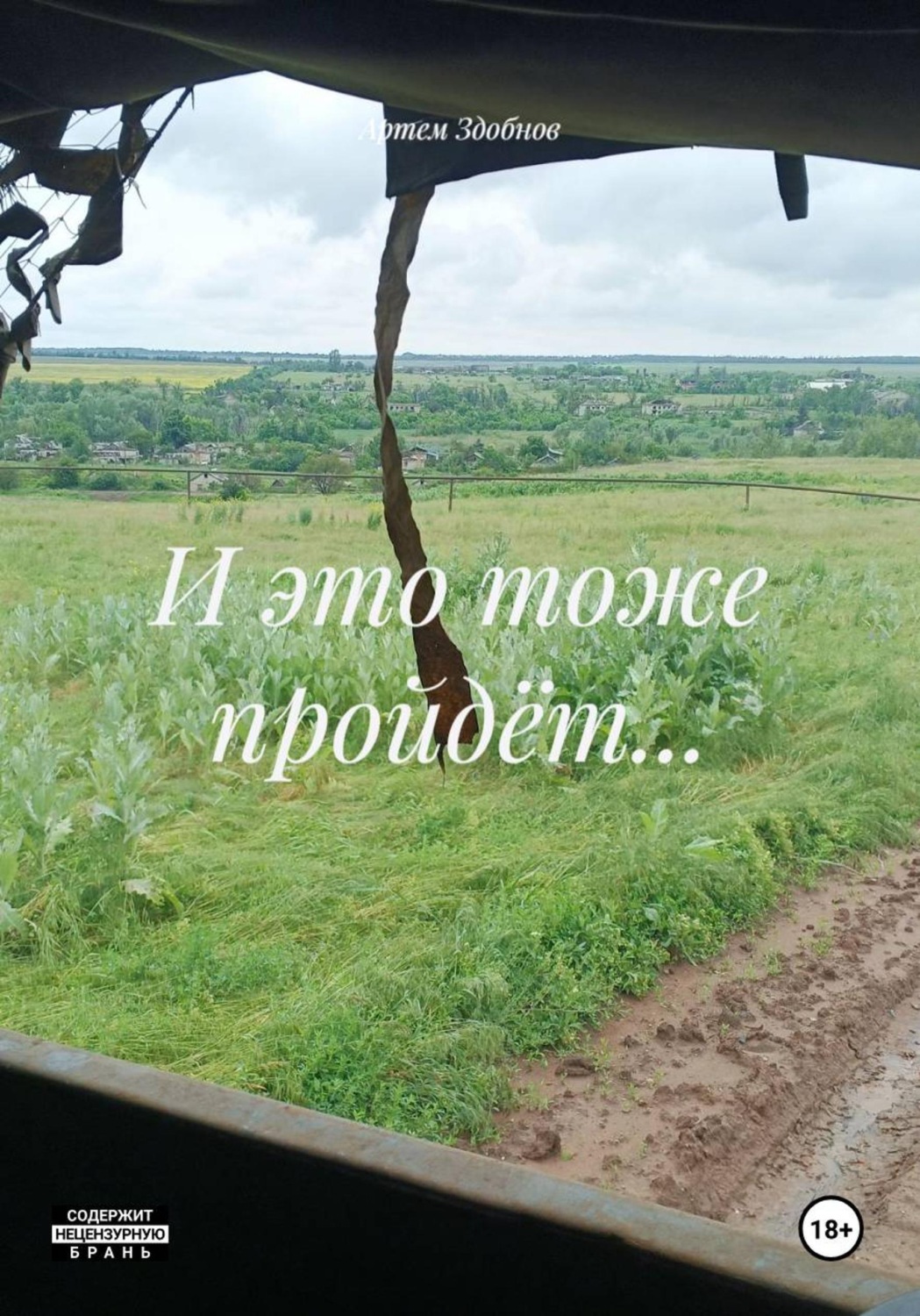 Обложка книги «И это тоже пройдёт...»
