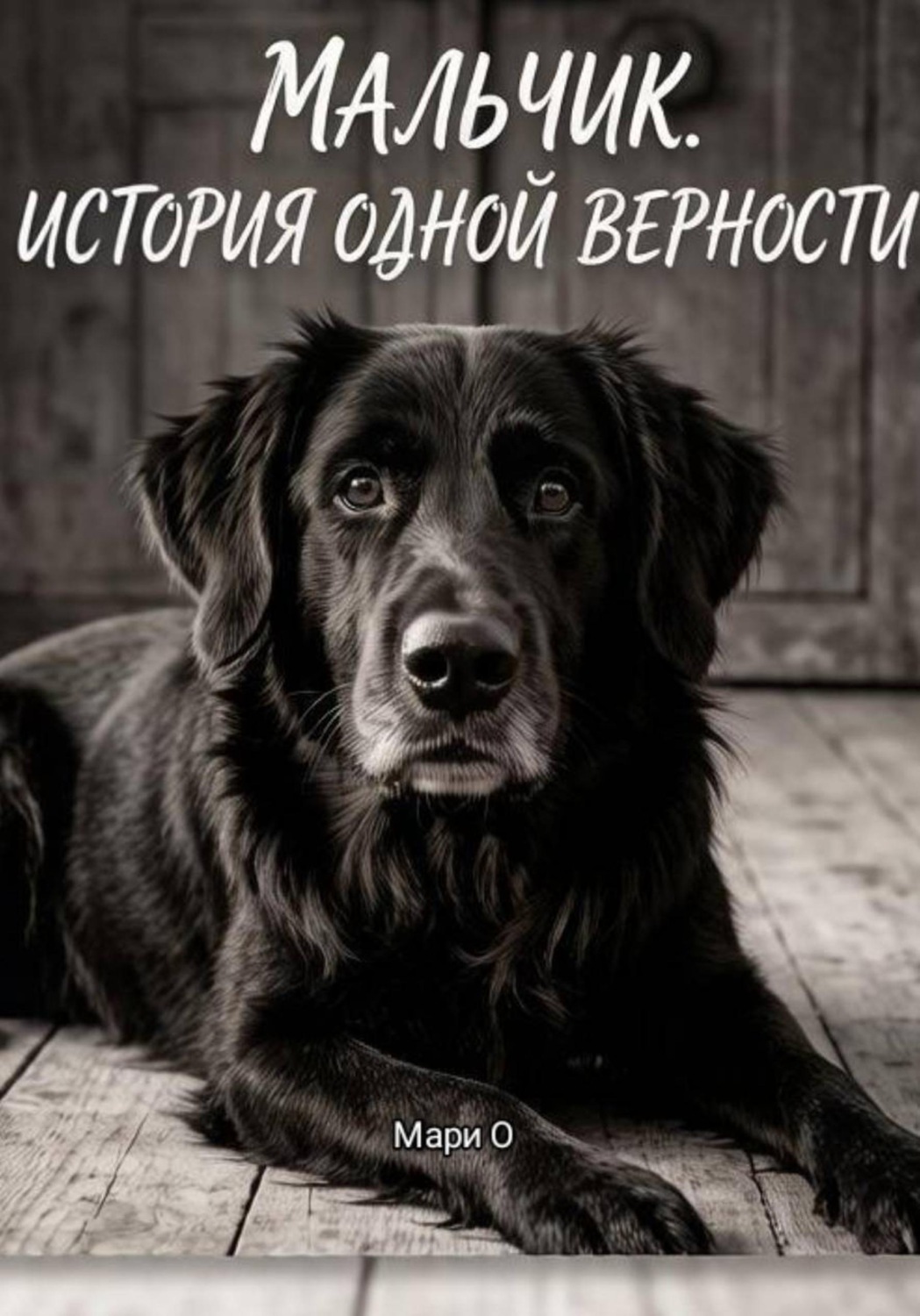 Обложка книги «Мальчик. История одной верности»