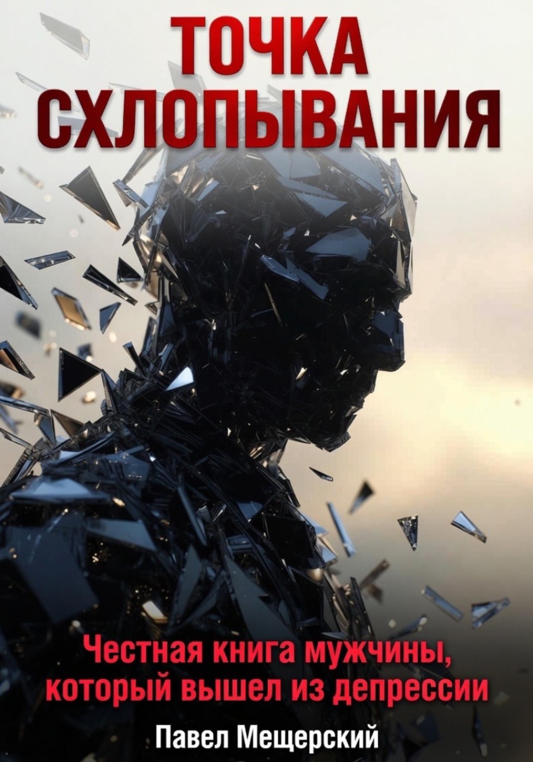 Обложка книги «Точка схлопывания»