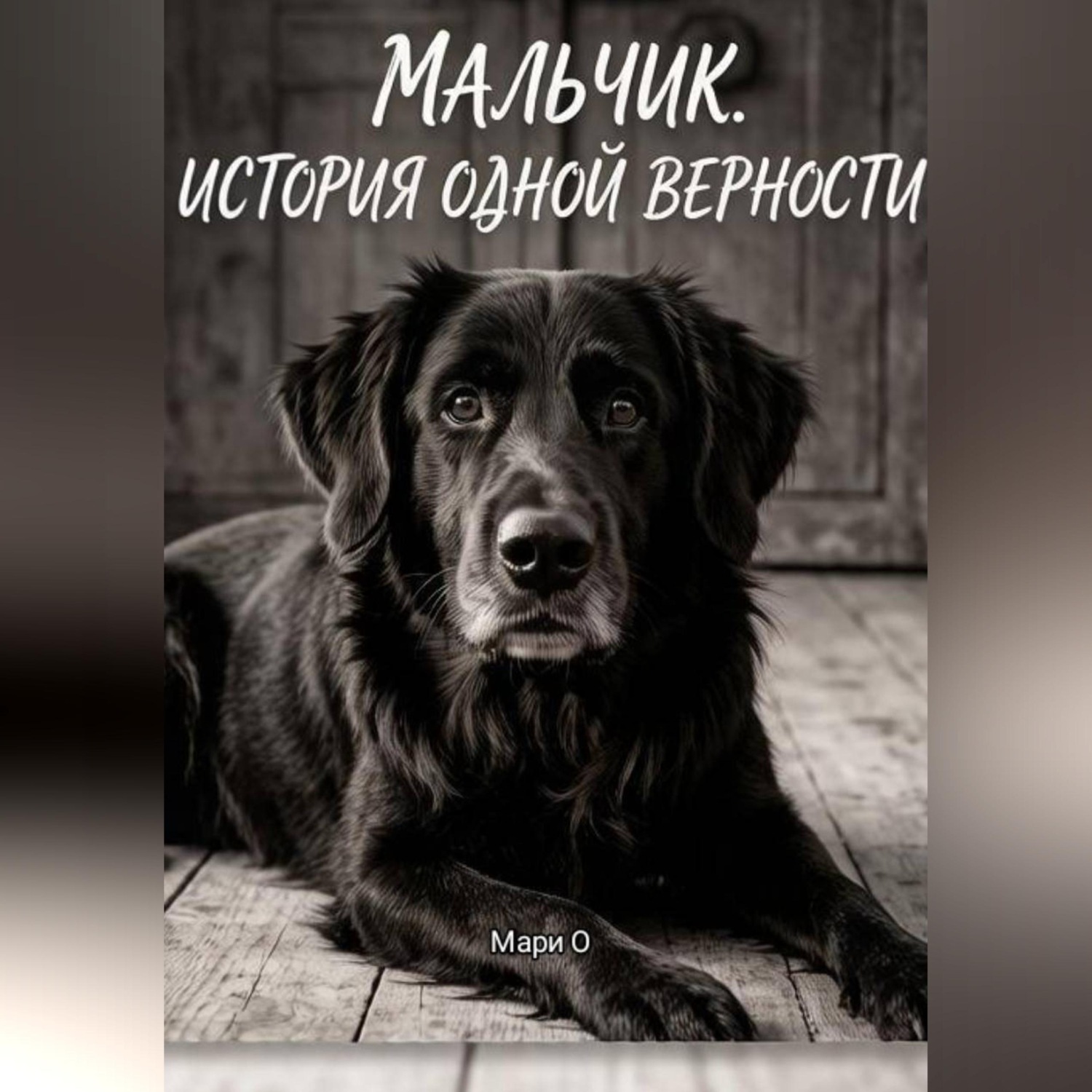 Обложка книги «Мальчик. История одной верности»