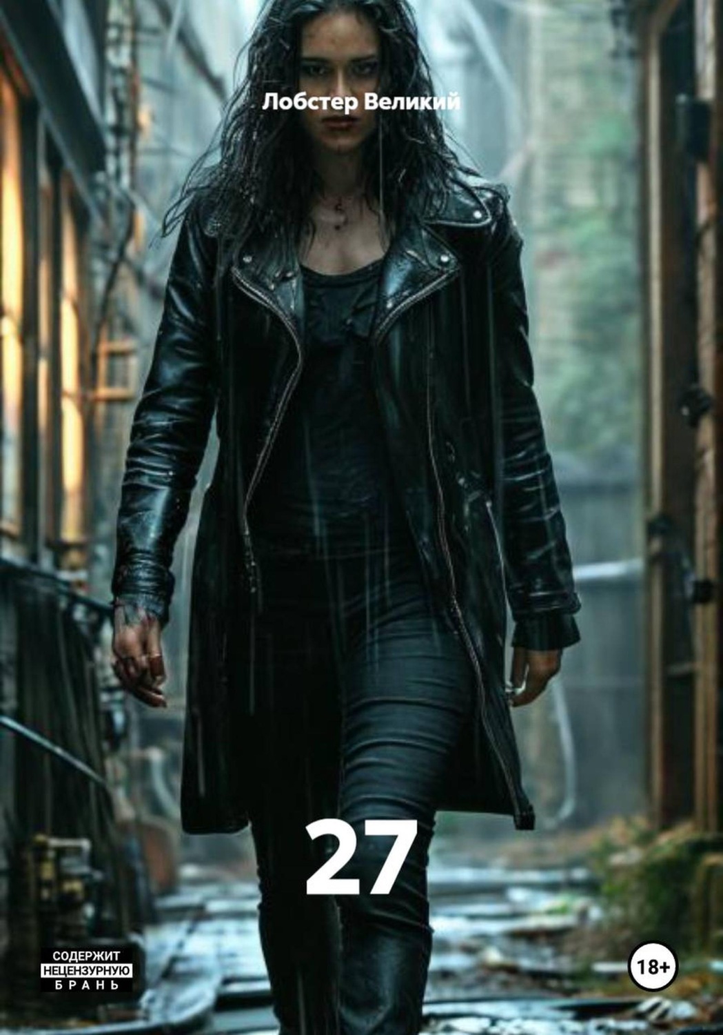 Обложка книги «27»