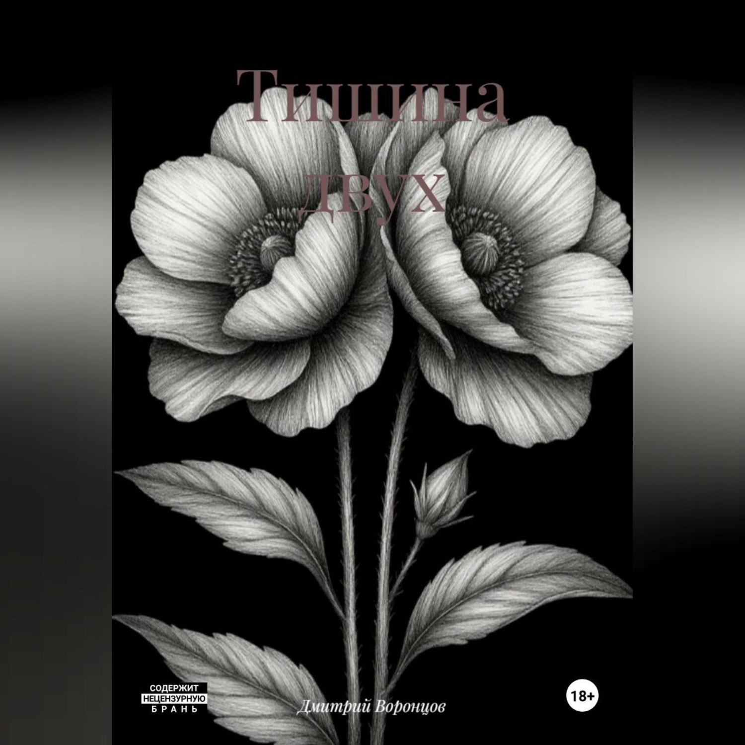 Обложка книги «Тишина двух»