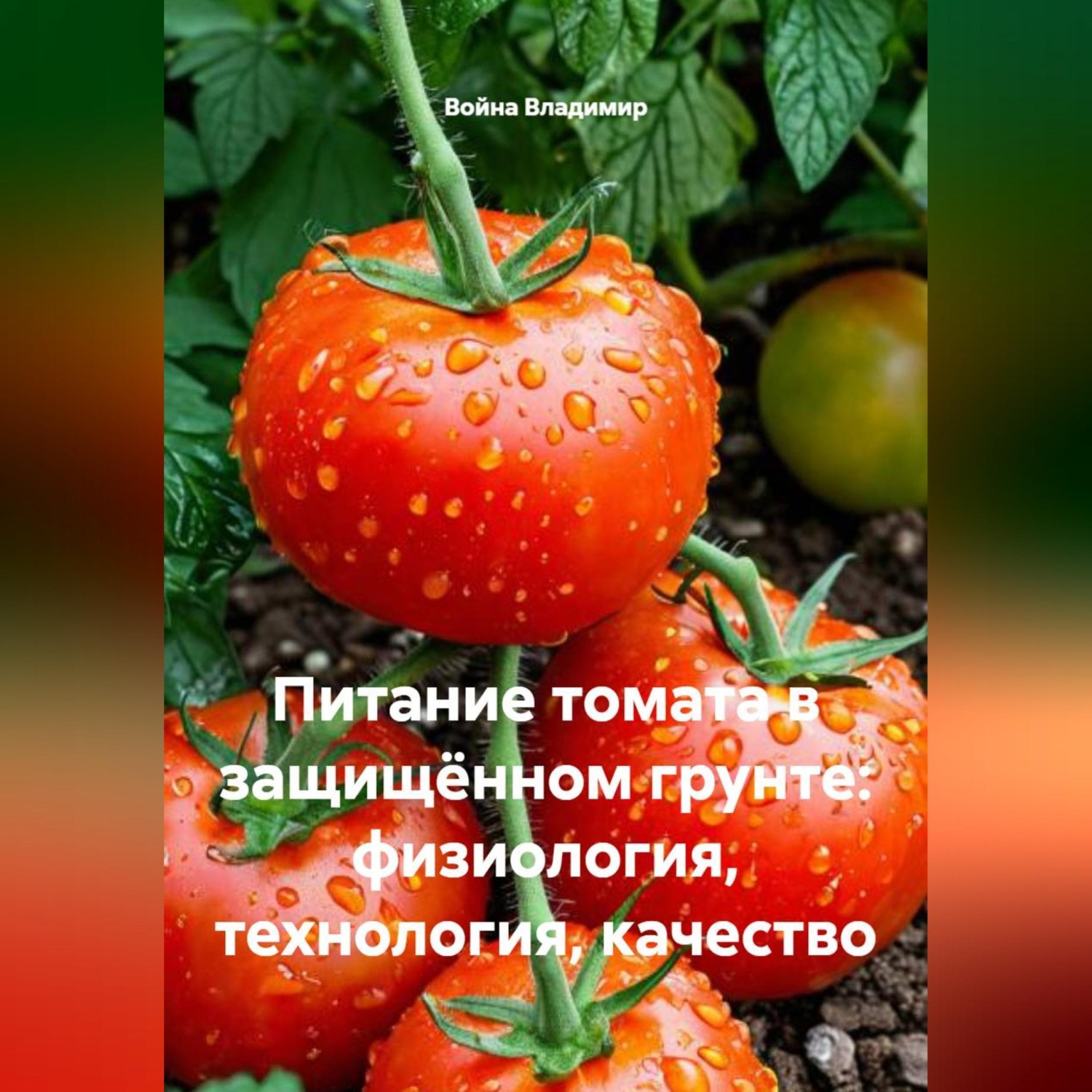 Обложка книги «Питание томата в защищённом грунте: физиология, технология, качество»