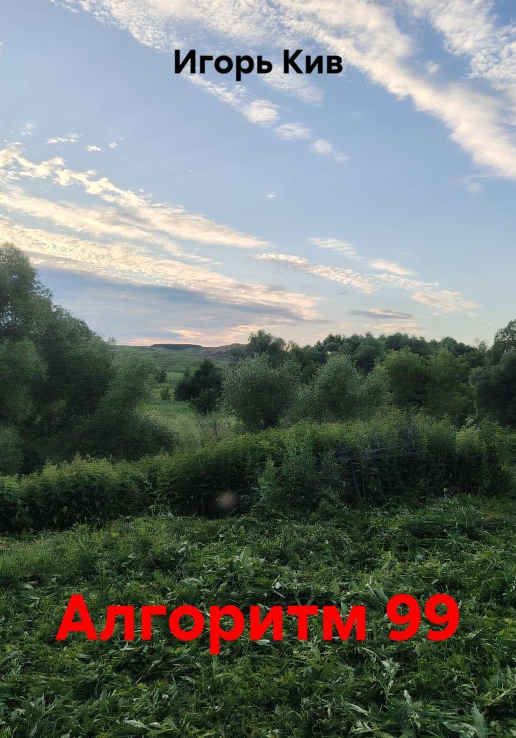 Обложка книги «Алгоритмы. Моя 99»
