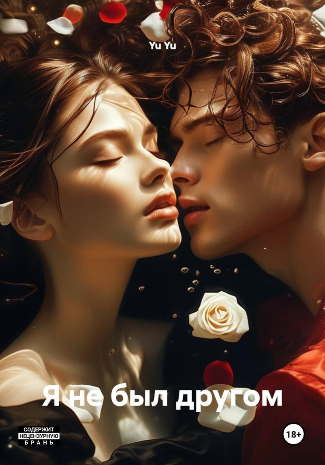 Обложка книги «Я не был другом»